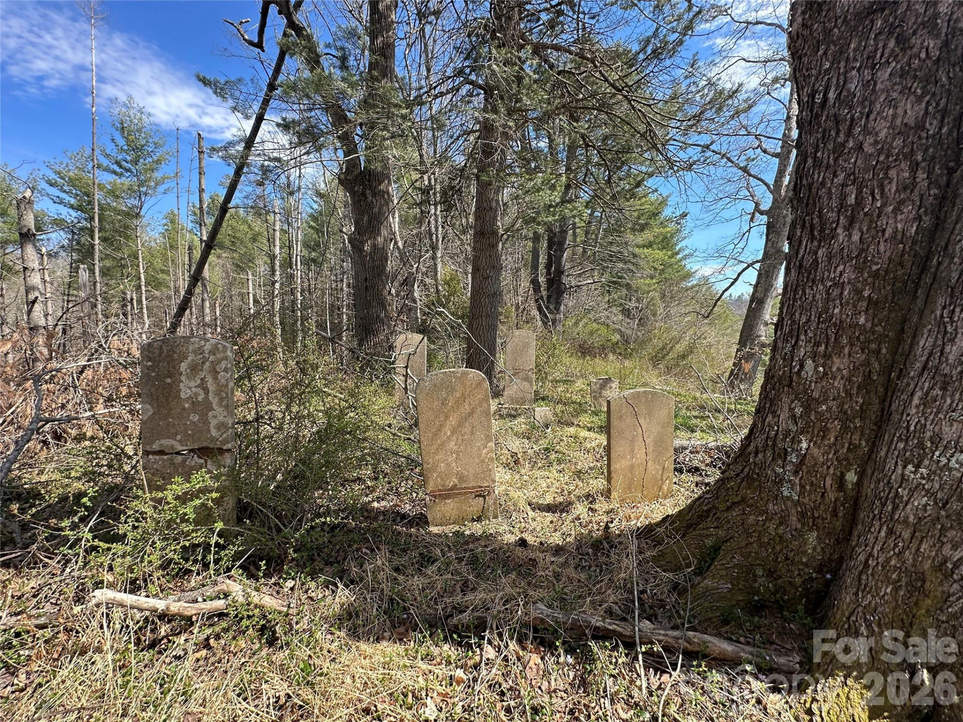 000 Mitchell Avenue - Photo 12