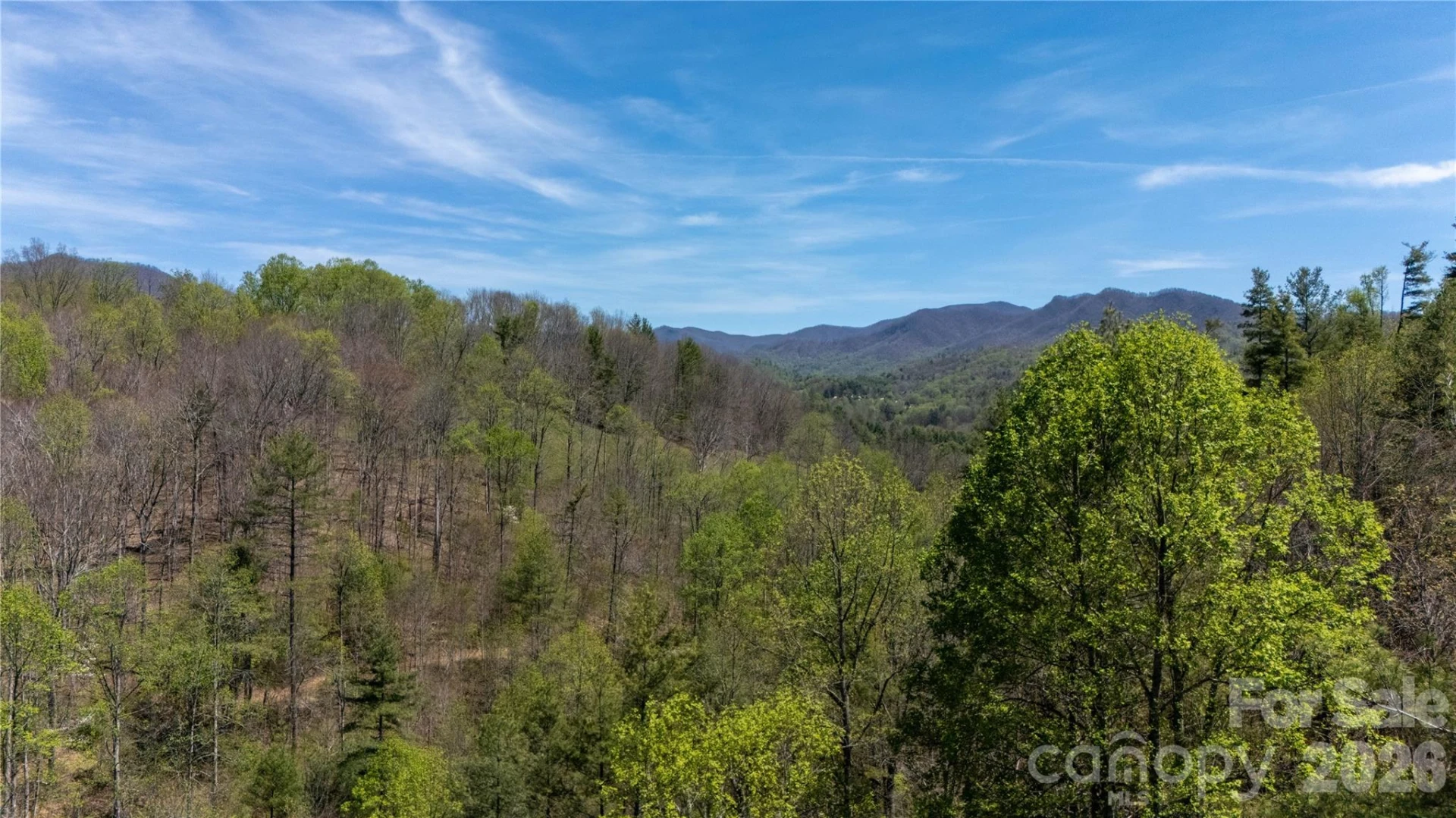 000 Mitchell Avenue - Photo 16