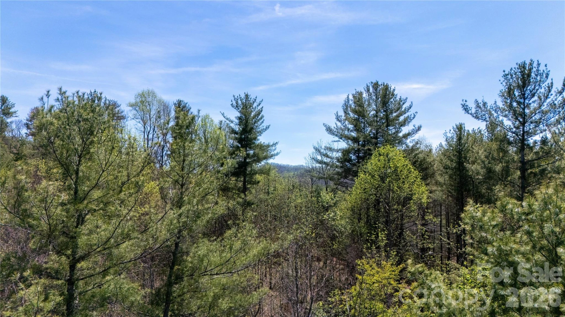 000 Mitchell Avenue - Photo 17