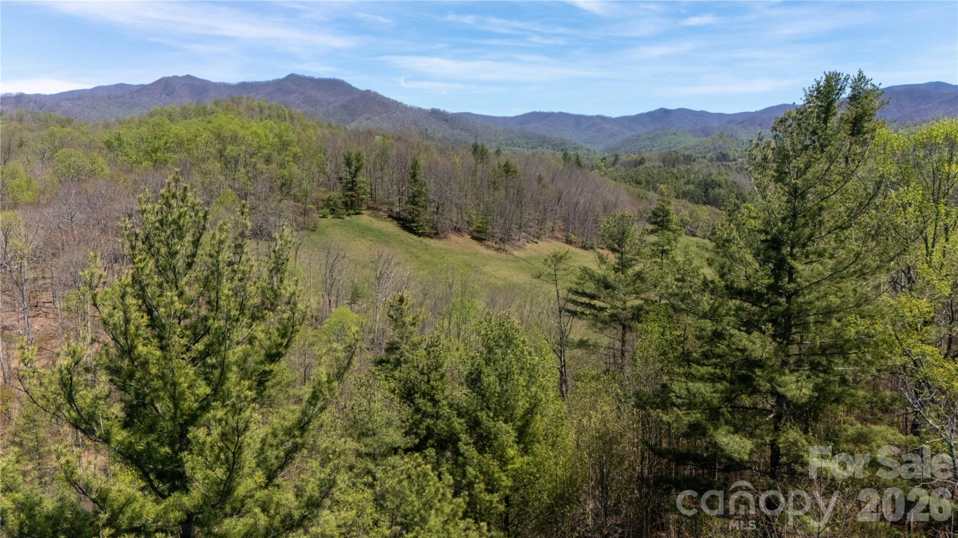 000 Mitchell Avenue - Photo 18
