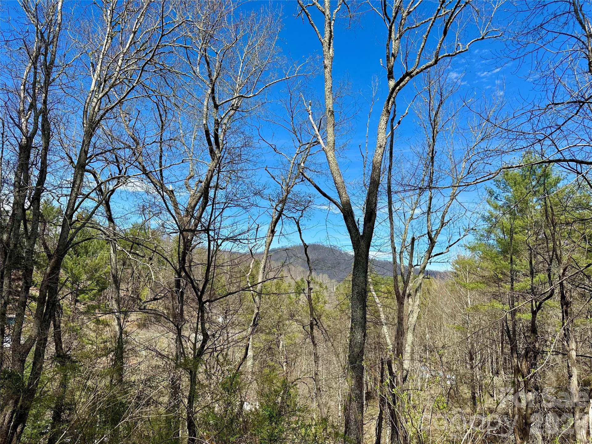 000 Mitchell Avenue - Photo 3