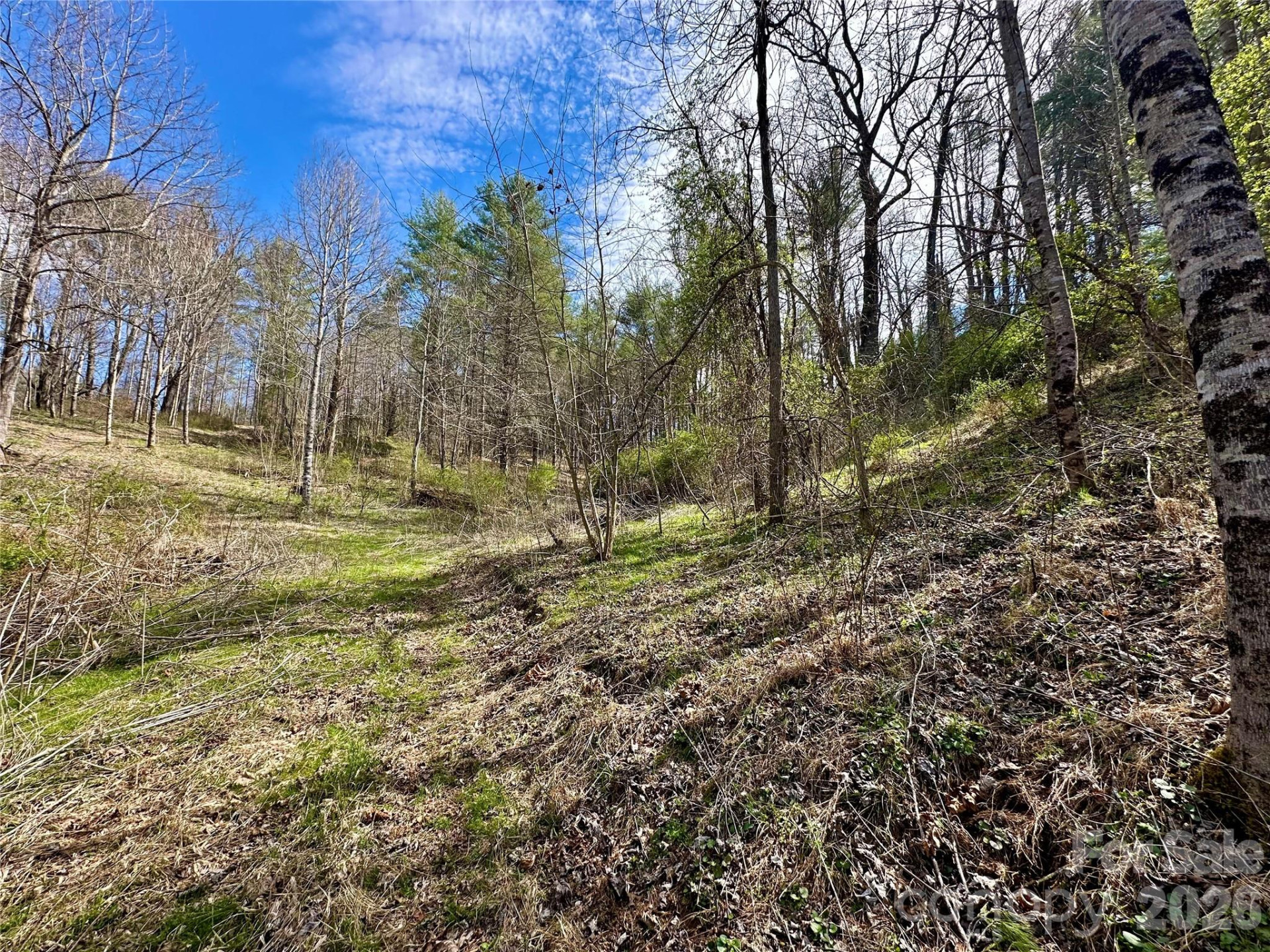 000 Mitchell Avenue - Photo 4