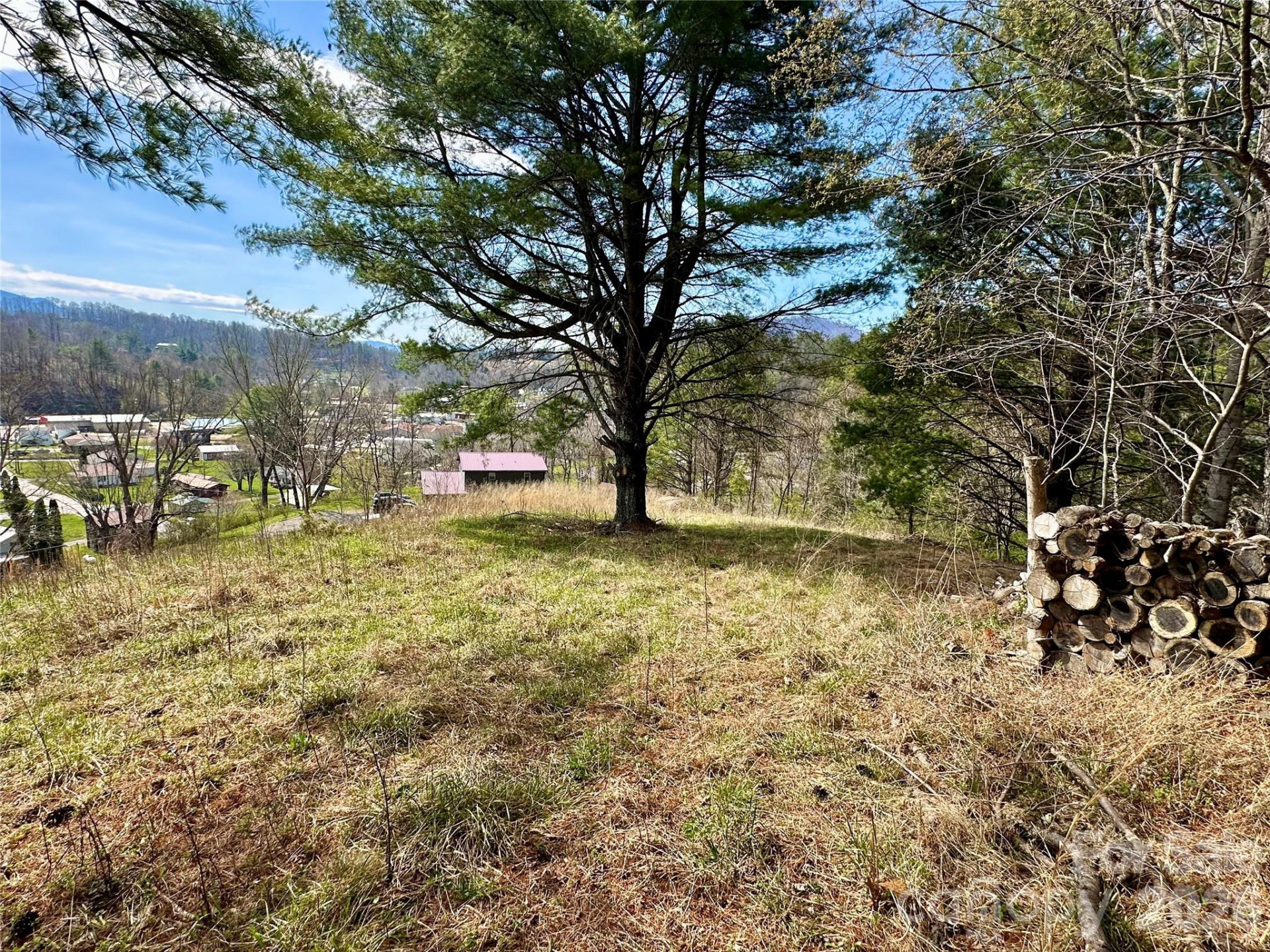 000 Mitchell Avenue - Photo 5