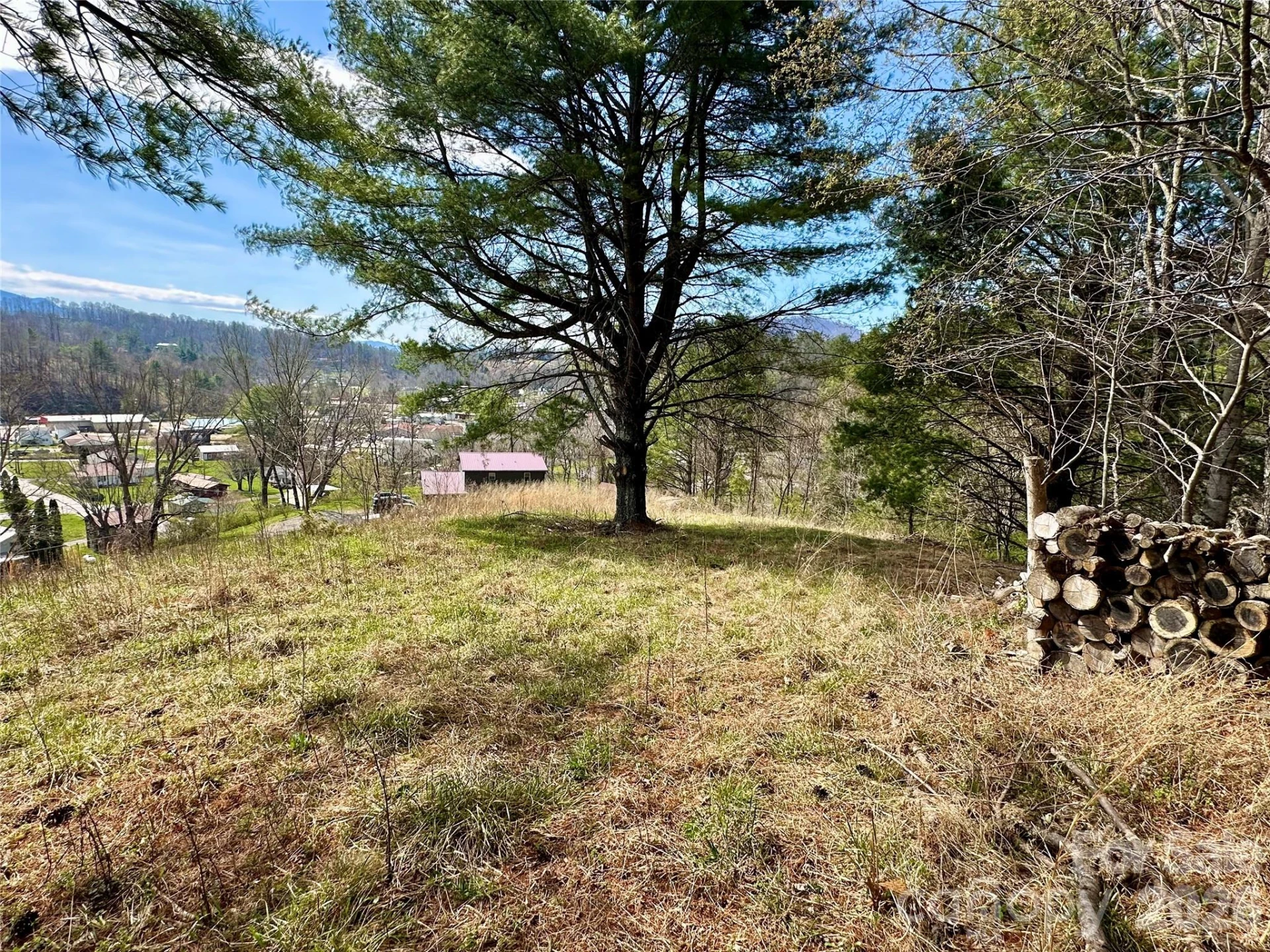 000 Mitchell Avenue - Photo 7