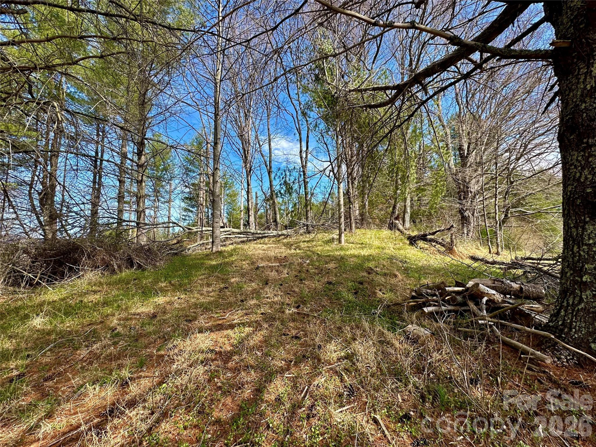 000 Mitchell Avenue - Photo 6