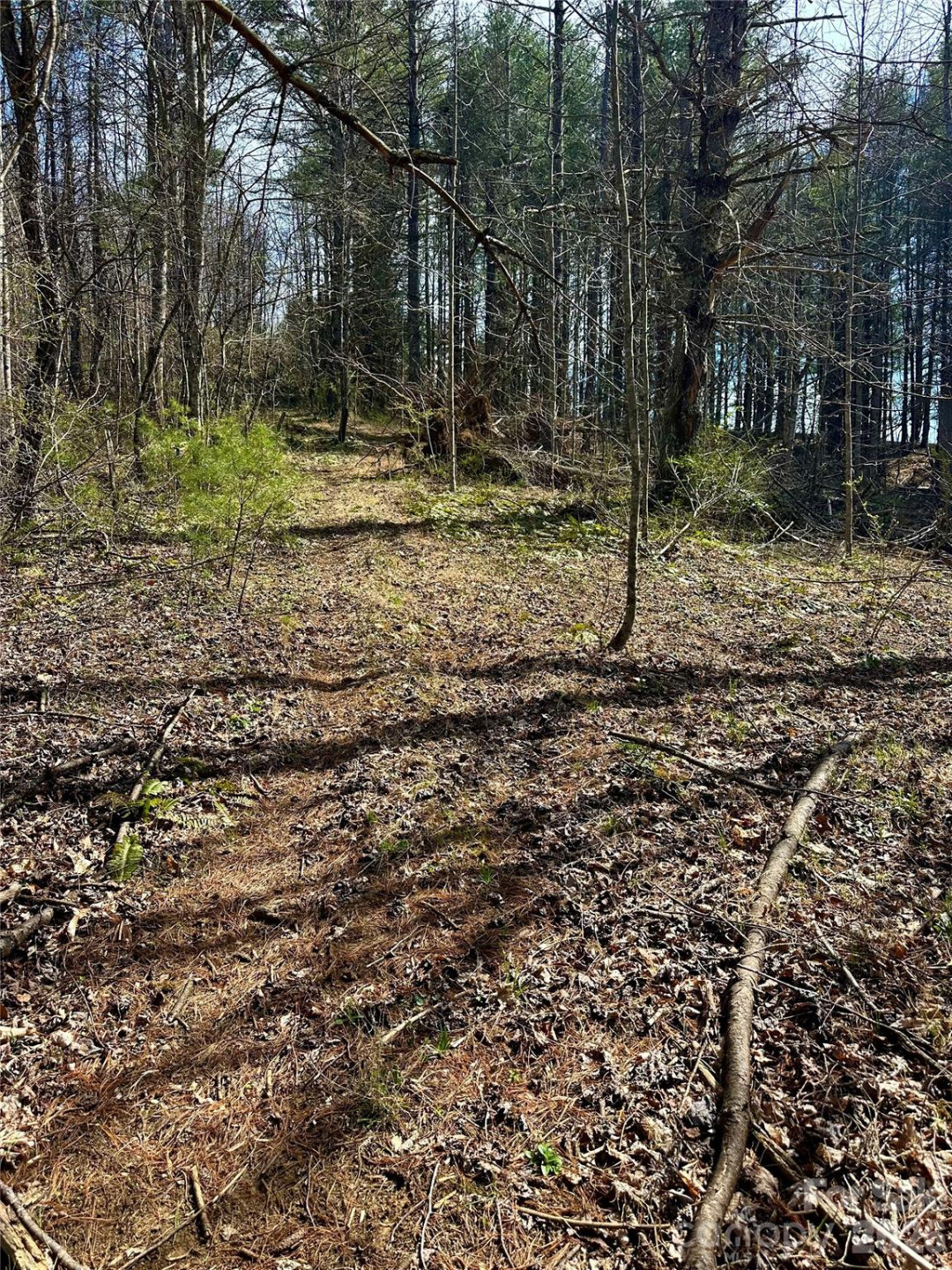 000 Mitchell Avenue - Photo 7