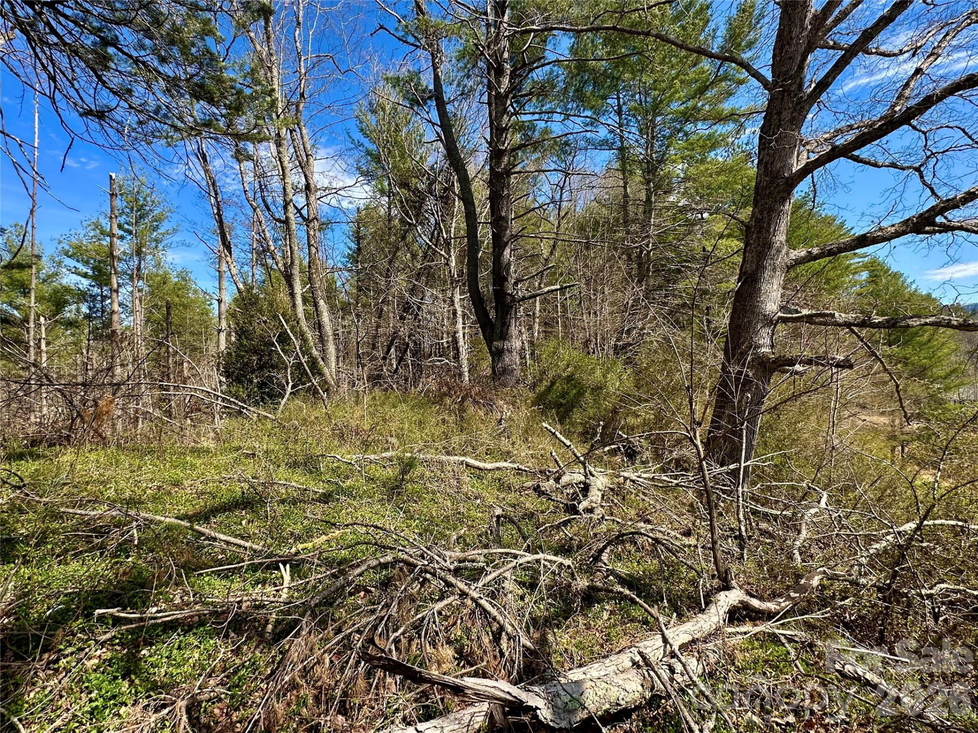 000 Mitchell Avenue - Photo 8