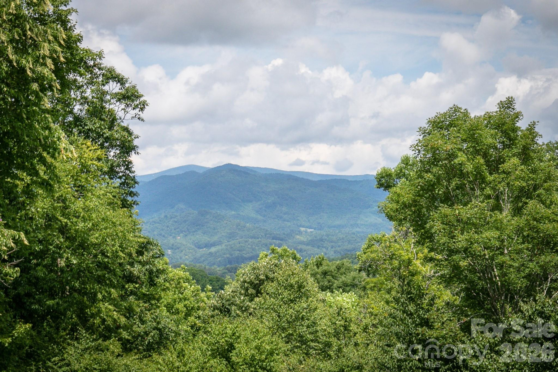 222 Creekside Way #D/202 - Photo 2