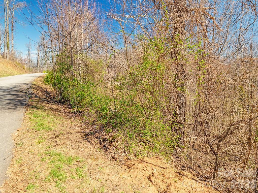 61 Ben Lippen School Road - Photo 4