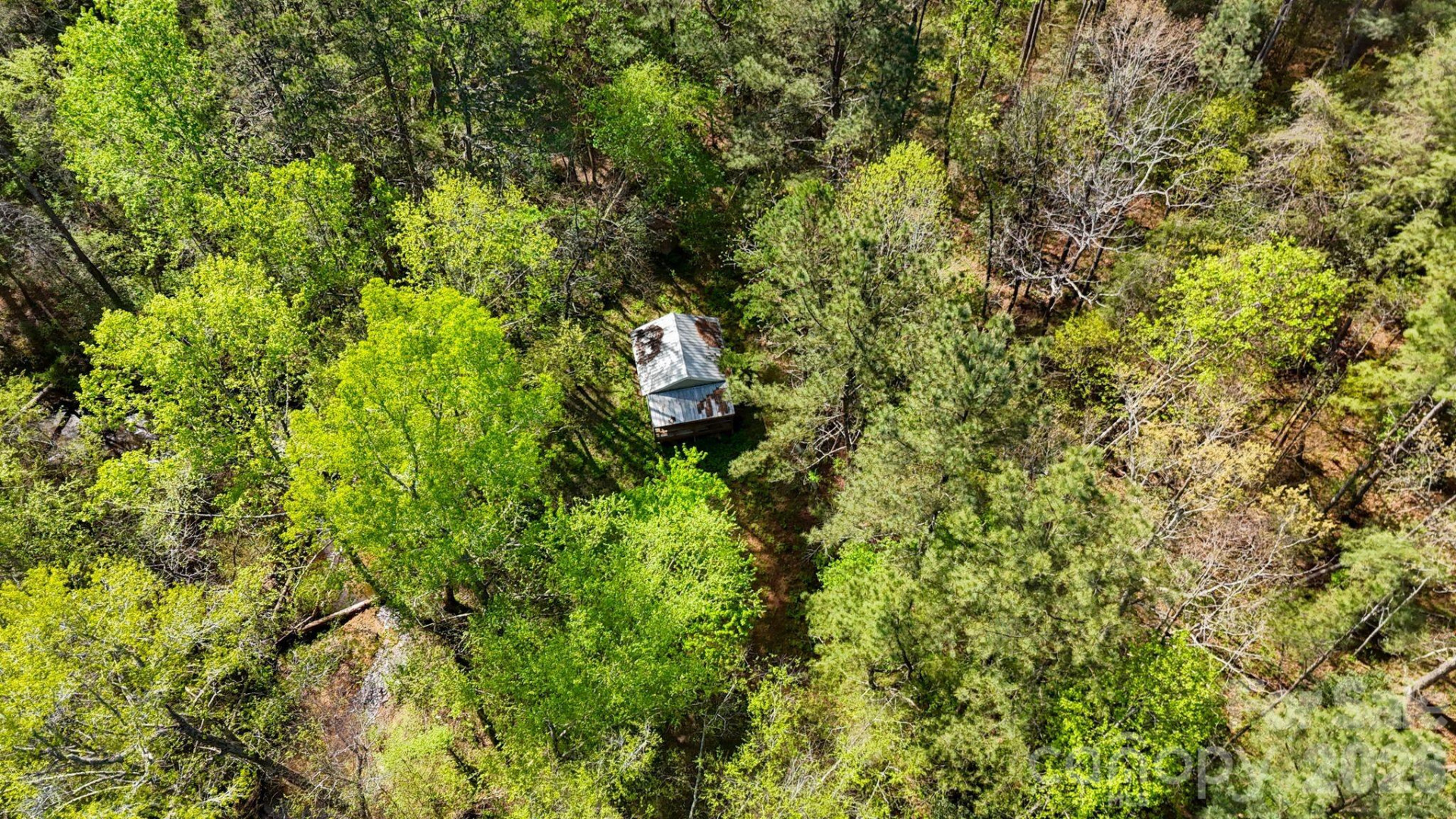 319 Hopewell Road - Photo 32