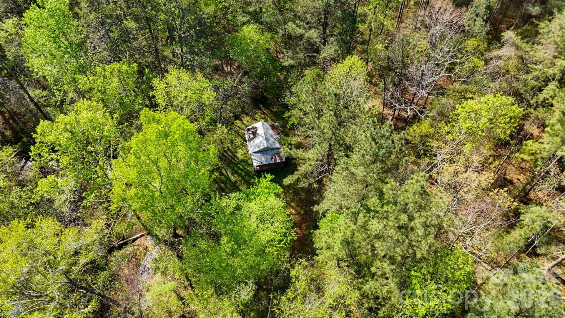 319 Hopewell Road - Photo 32