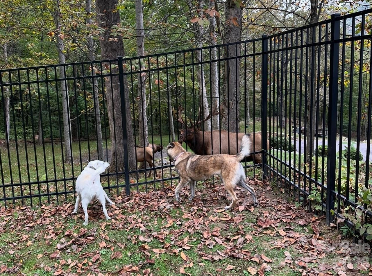 302 Davy Crockett Drive - Photo 39