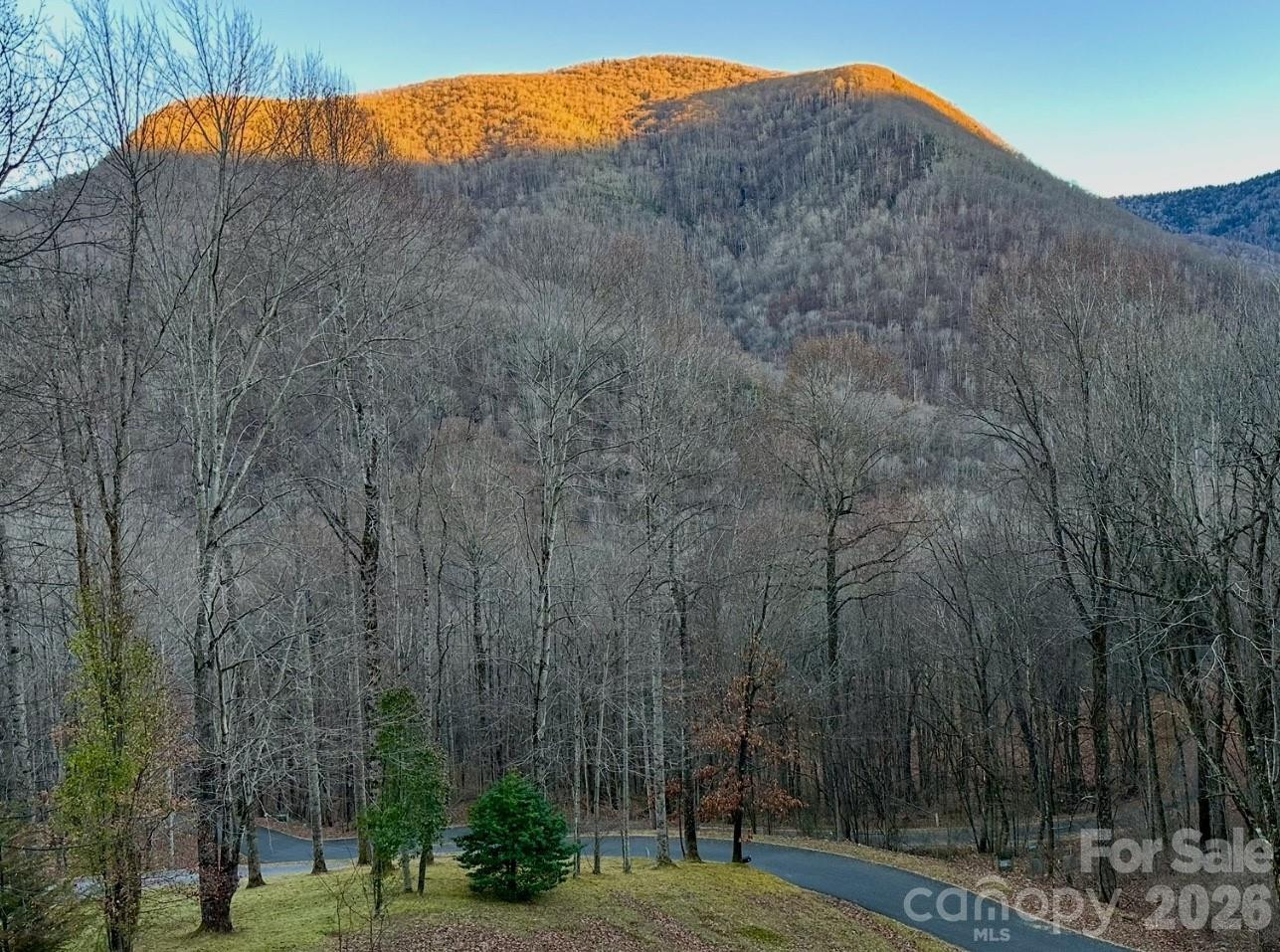 302 Davy Crockett Drive - Photo 45