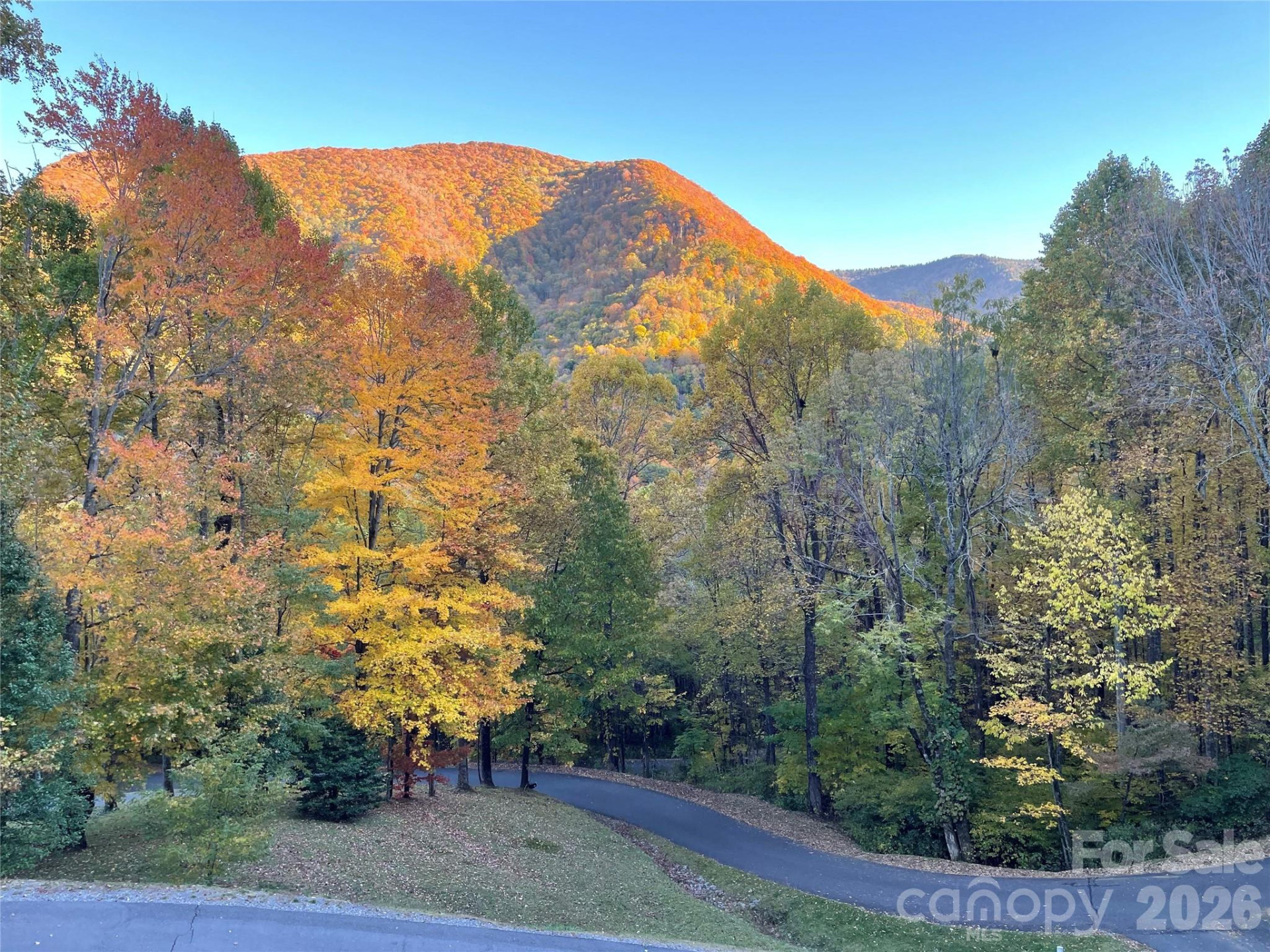 302 Davy Crockett Drive - Photo 46