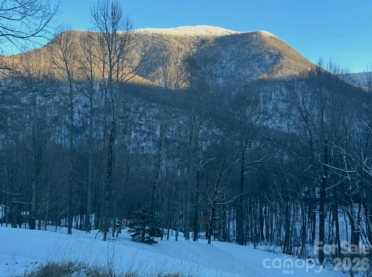 302 Davy Crockett Drive - Photo 47