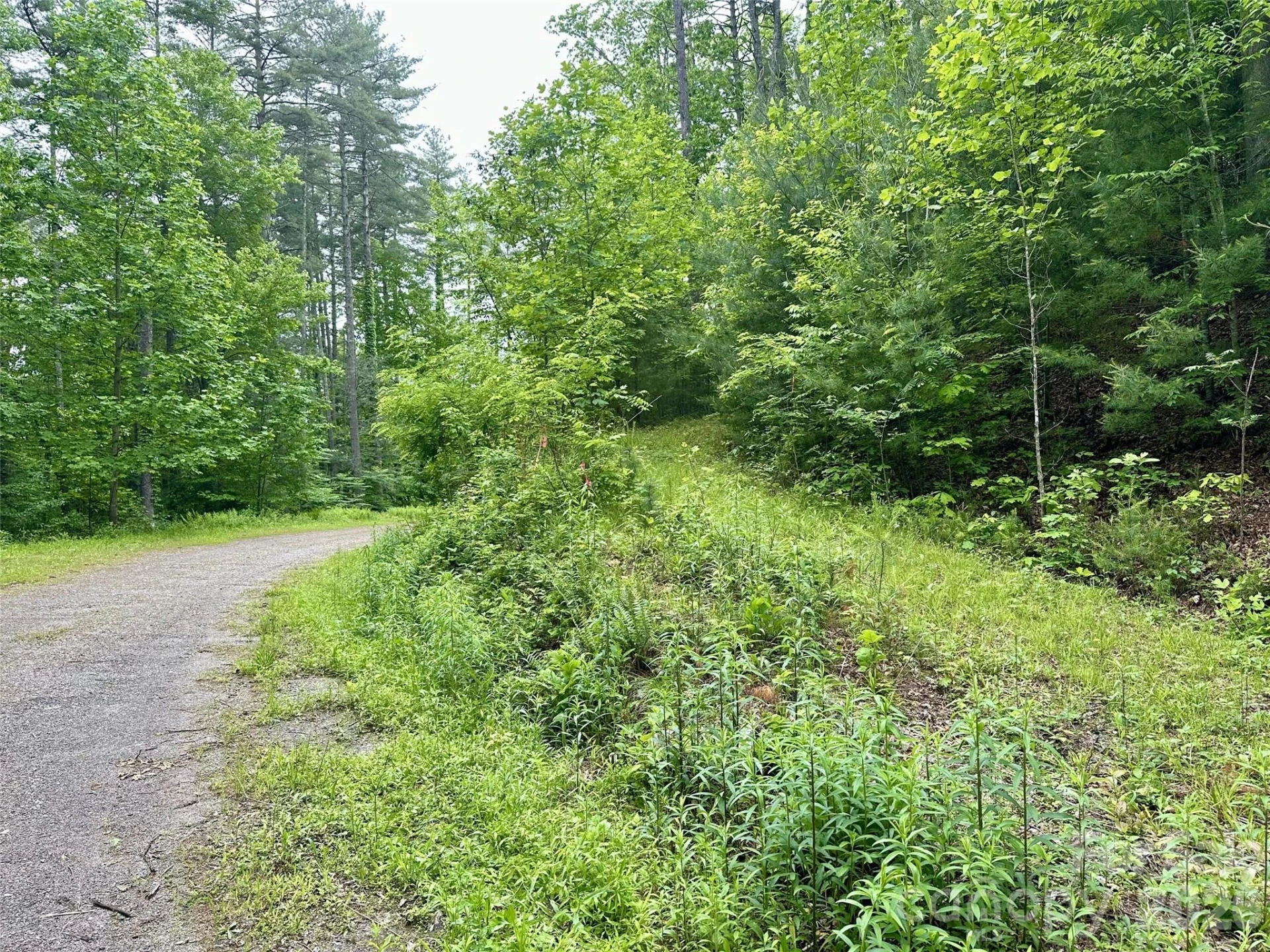 11 Wildlife Drive #11 - Photo 2