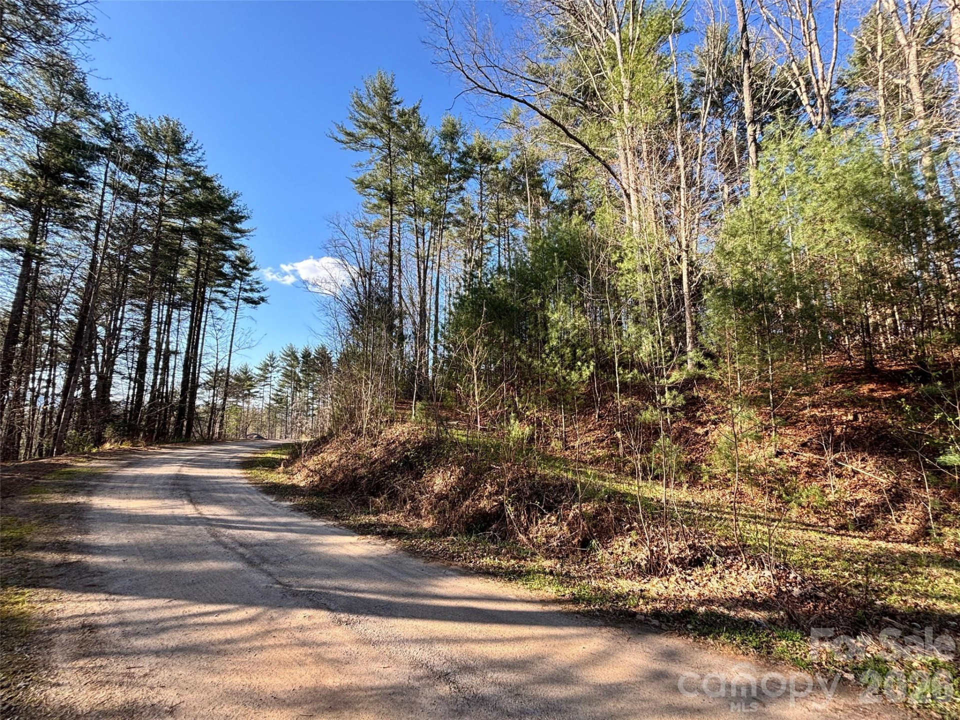 11 Wildlife Drive #11 - Photo 11