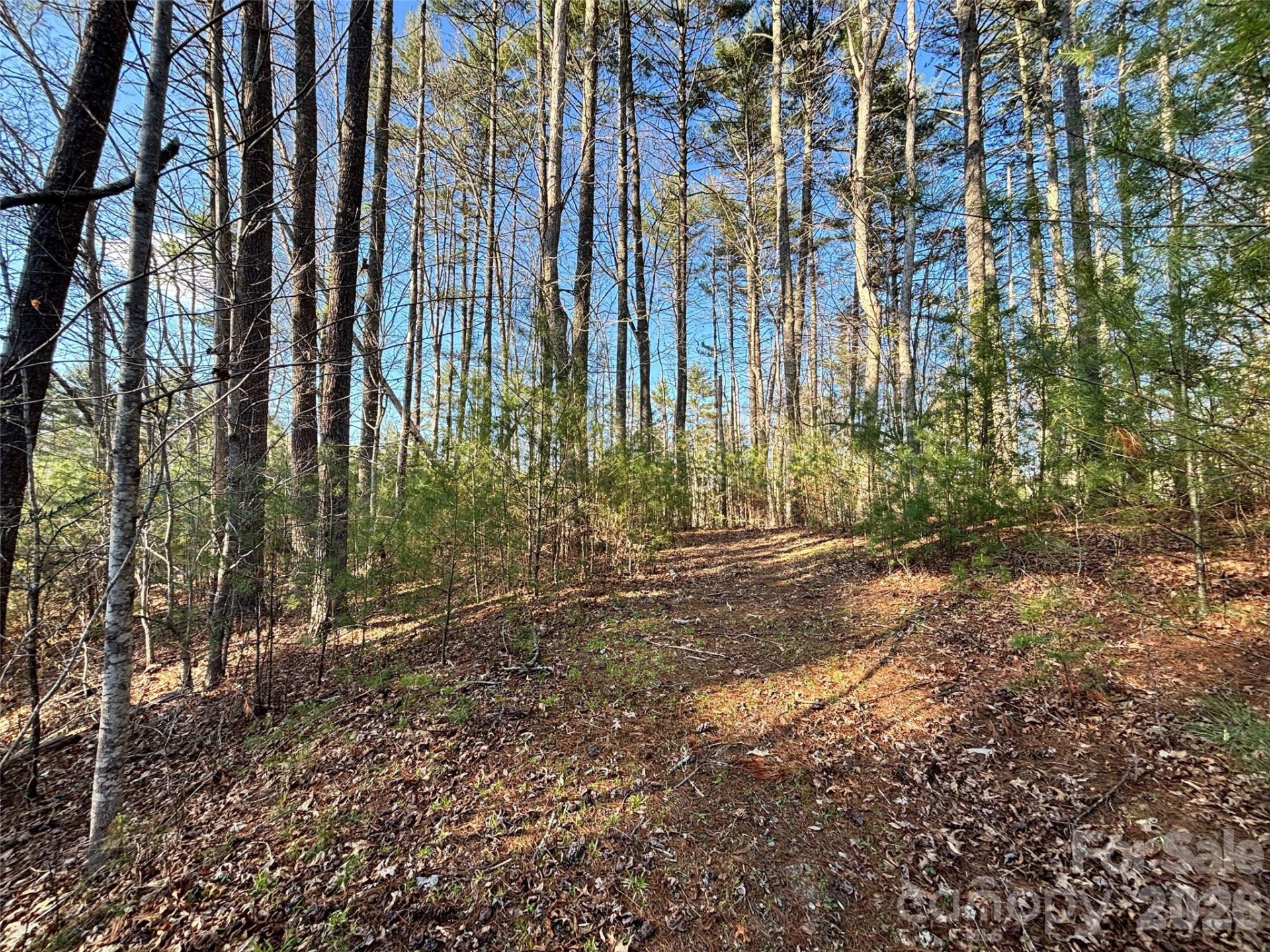 11 Wildlife Drive #11 - Photo 12