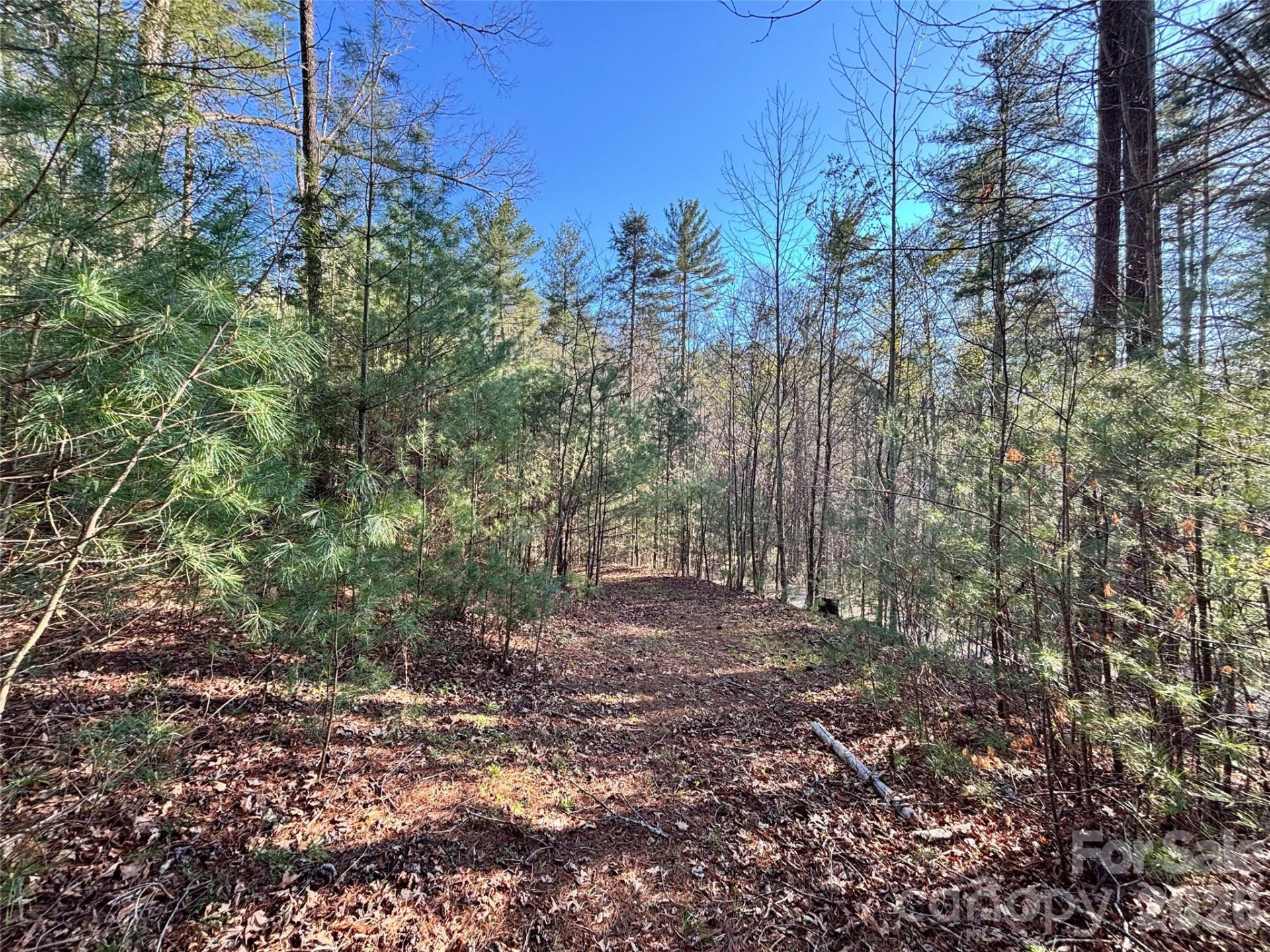 11 Wildlife Drive #11 - Photo 13