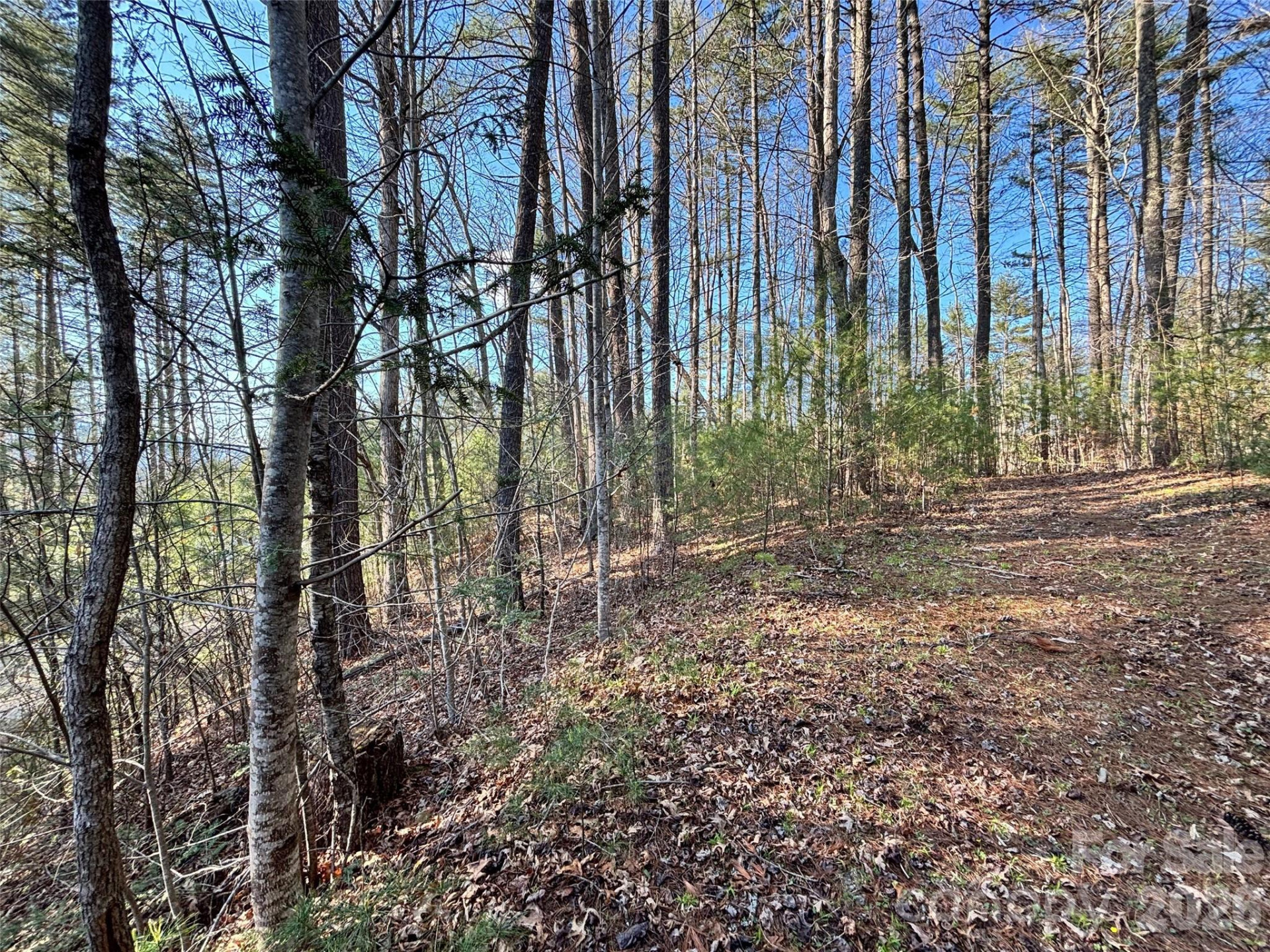 11 Wildlife Drive #11 - Photo 14