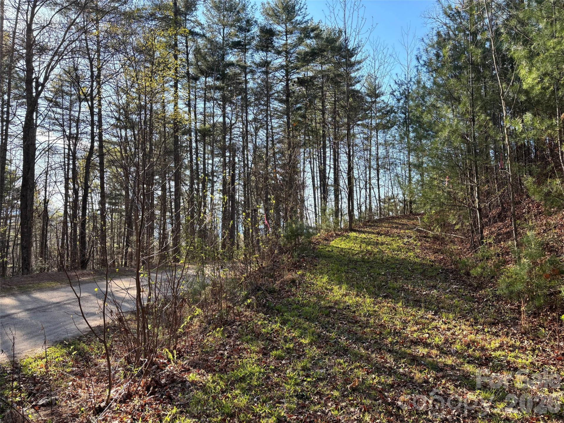 11 Wildlife Drive #11 - Photo 15