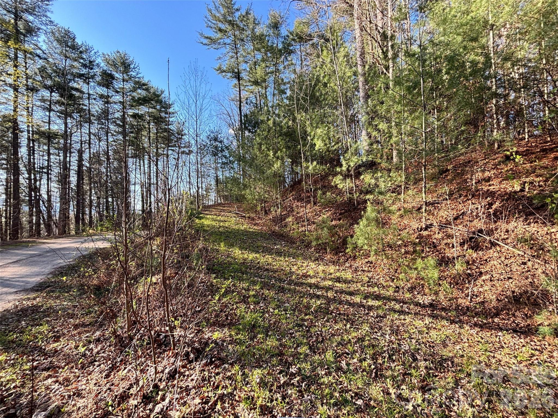 11 Wildlife Drive #11 - Photo 16