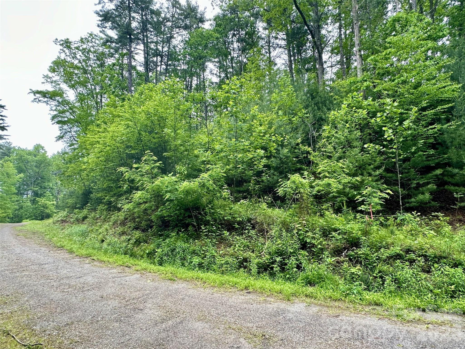 11 Wildlife Drive #11 - Photo 3