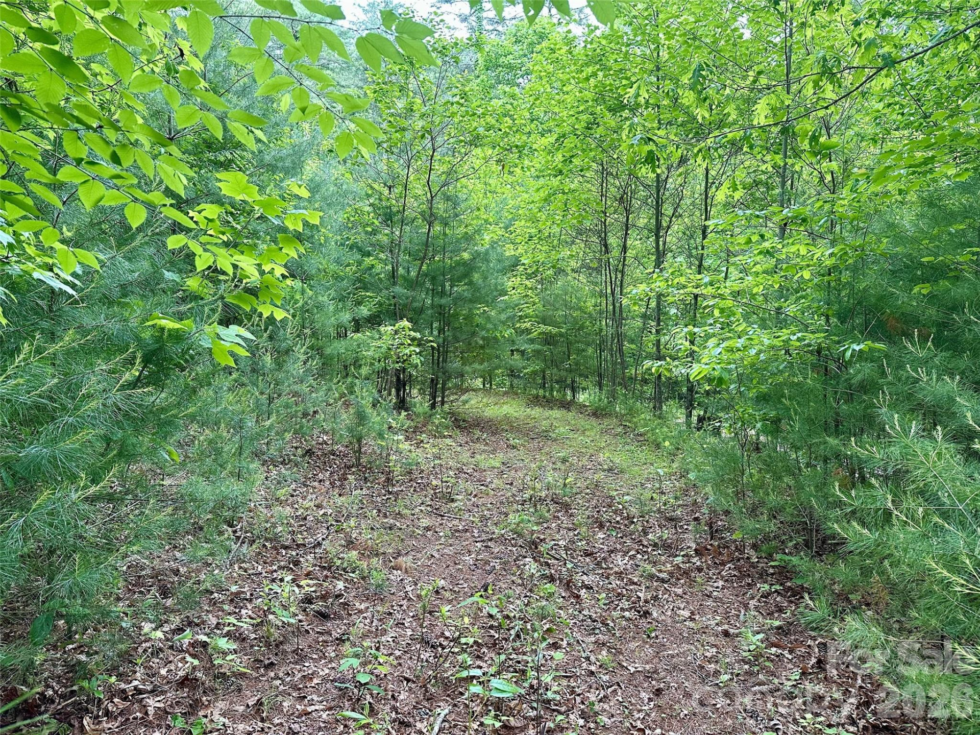 11 Wildlife Drive #11 - Photo 4