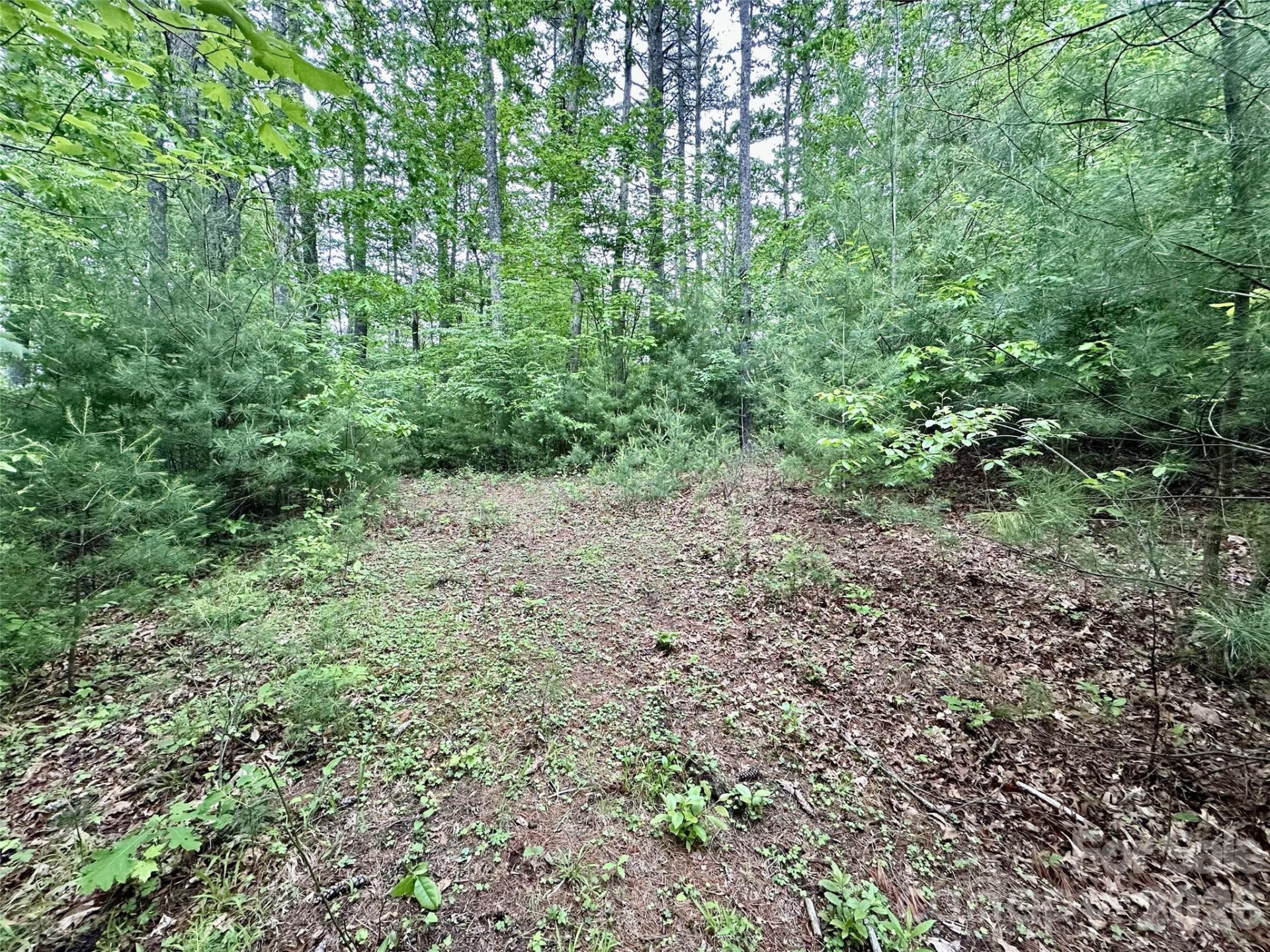 11 Wildlife Drive #11 - Photo 5