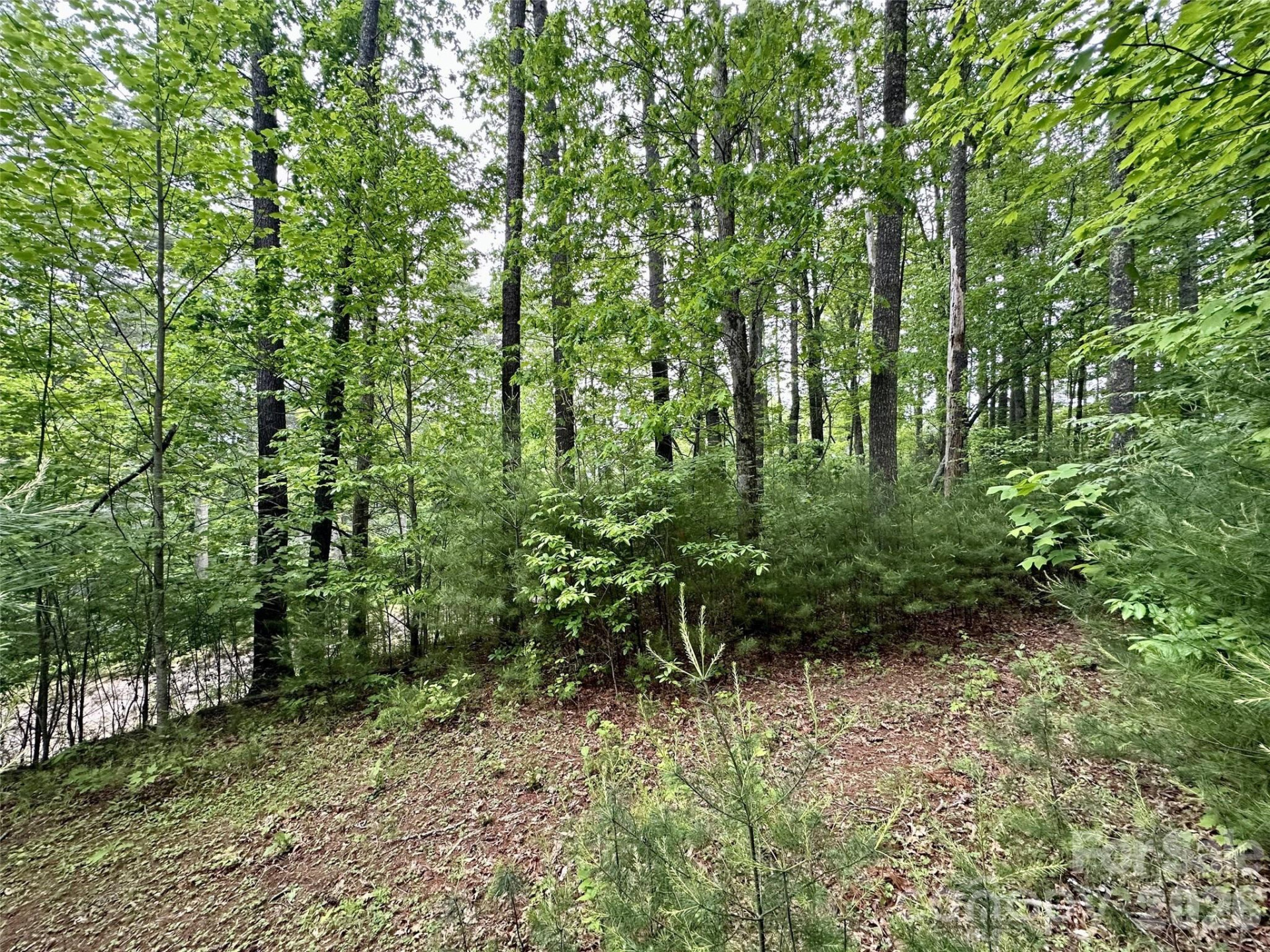 11 Wildlife Drive #11 - Photo 6