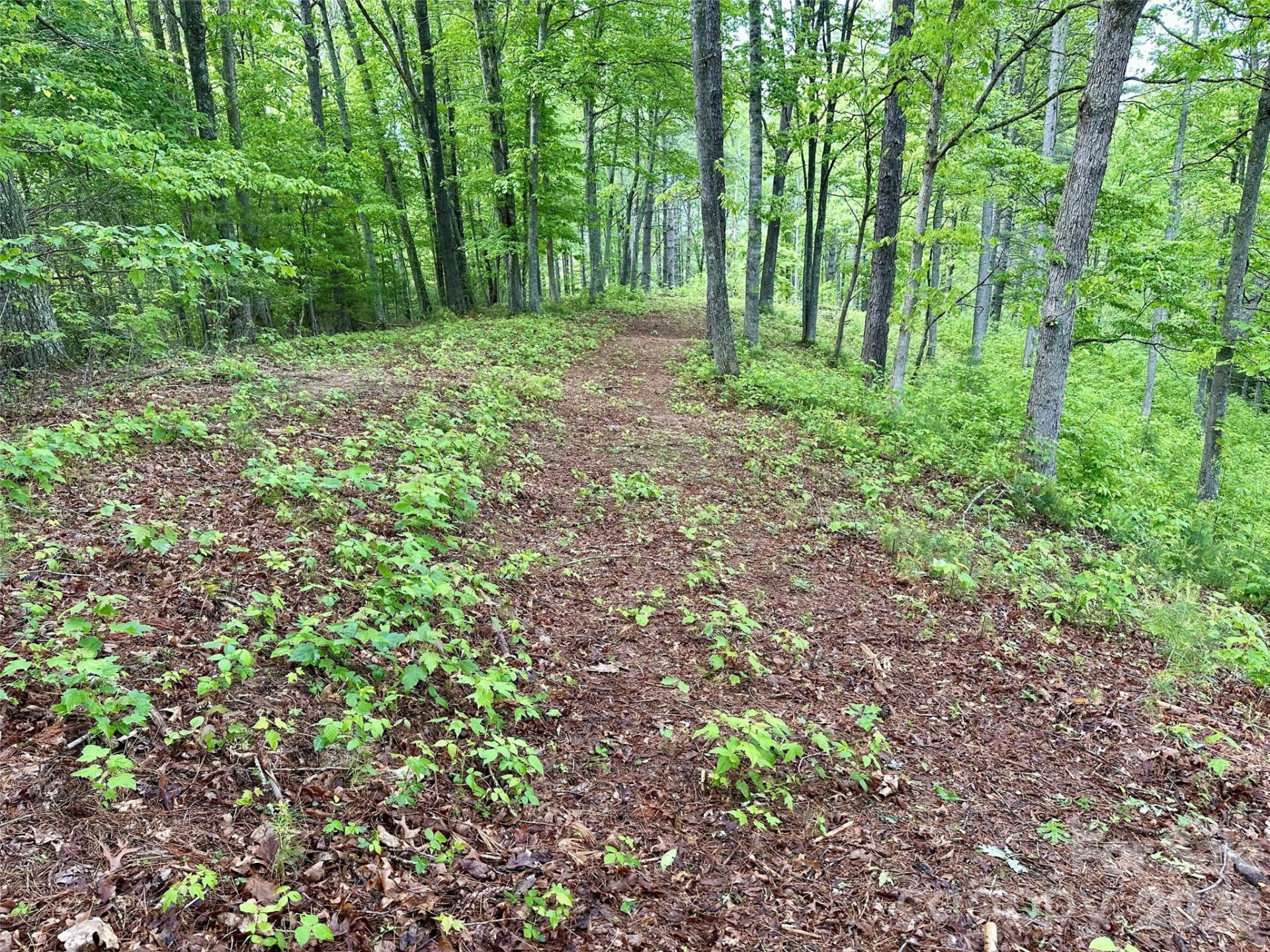 11 Wildlife Drive #11 - Photo 7