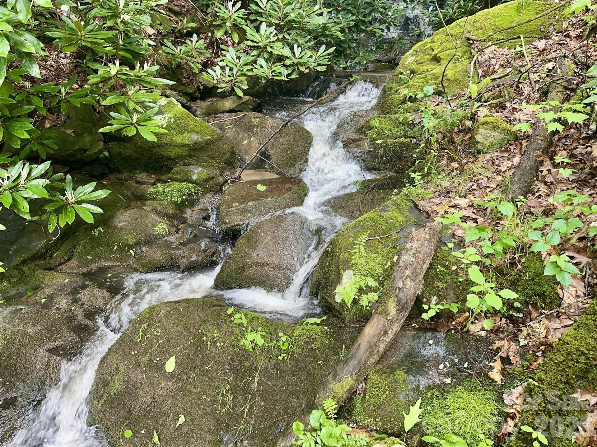 11 Wildlife Drive #11 - Photo 9