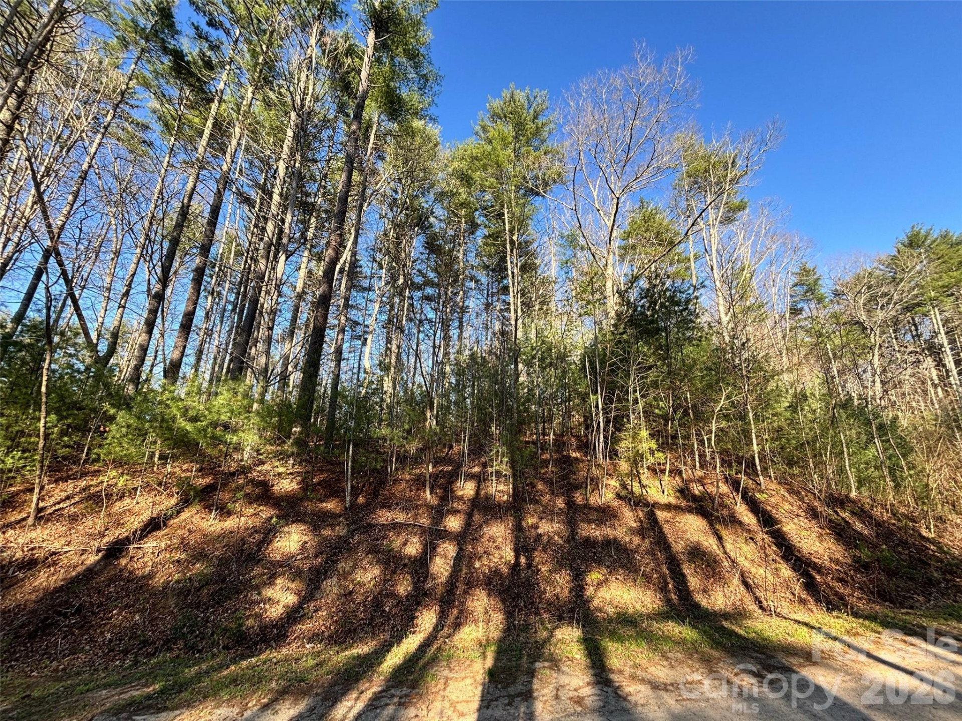 11 Wildlife Drive #11 - Photo 10