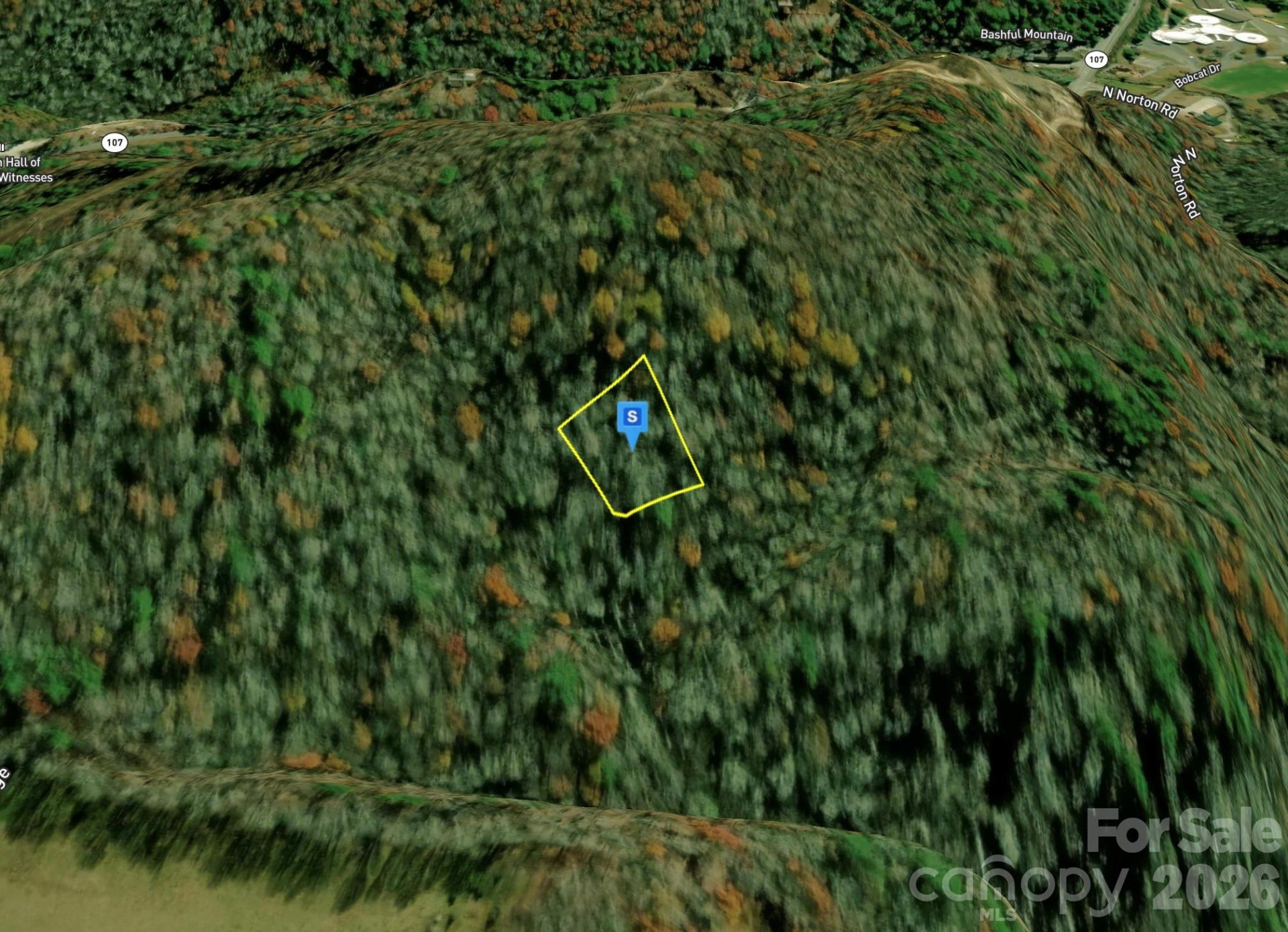 6 Shiver Ridge - Photo 2