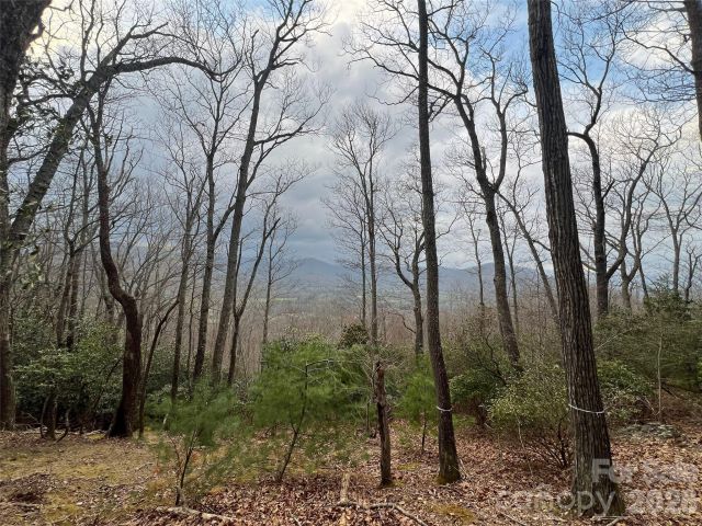 27 Deer Grass Court, Arden, NC, 28704