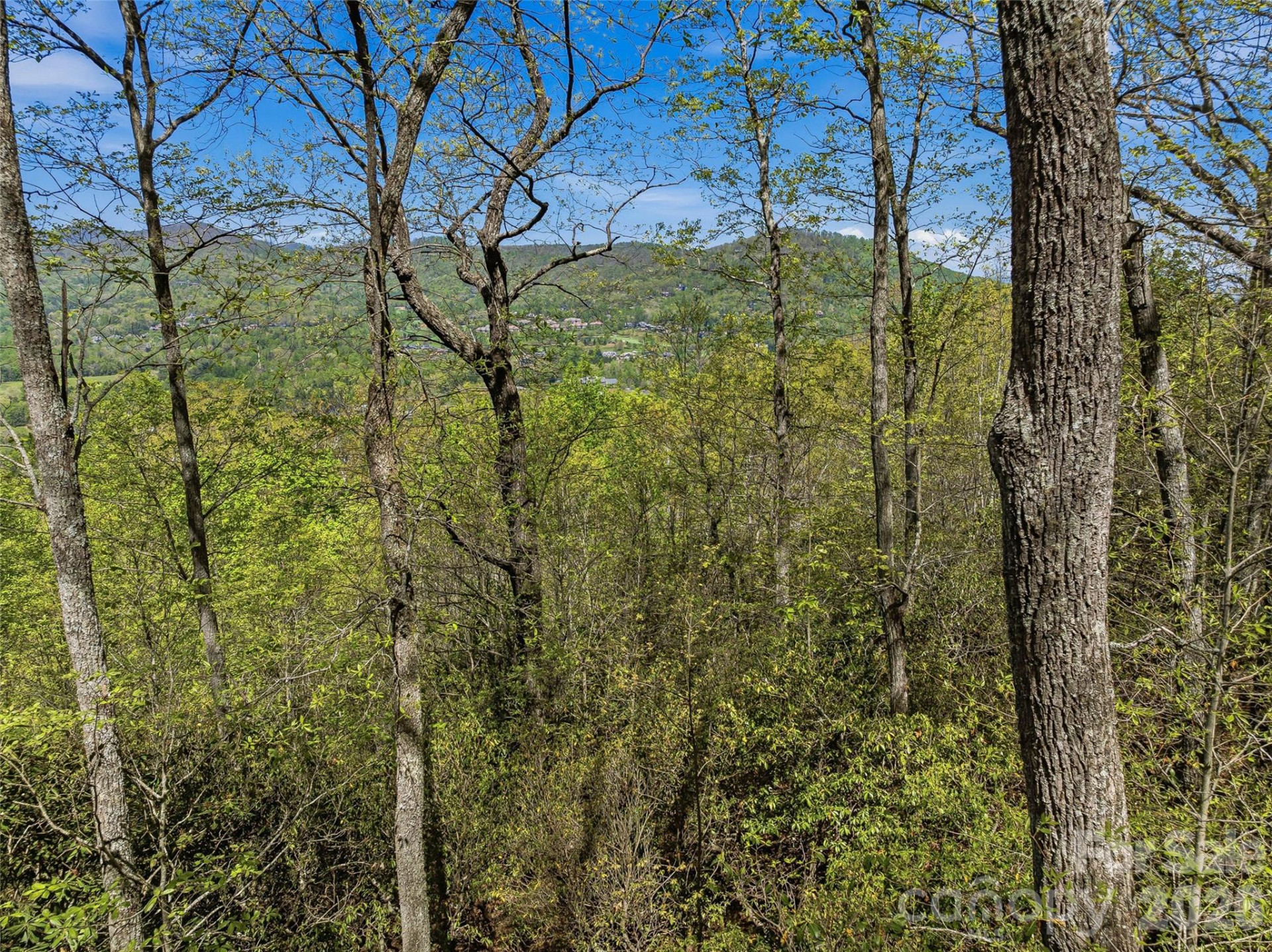 27 Deer Grass Court - Photo 12