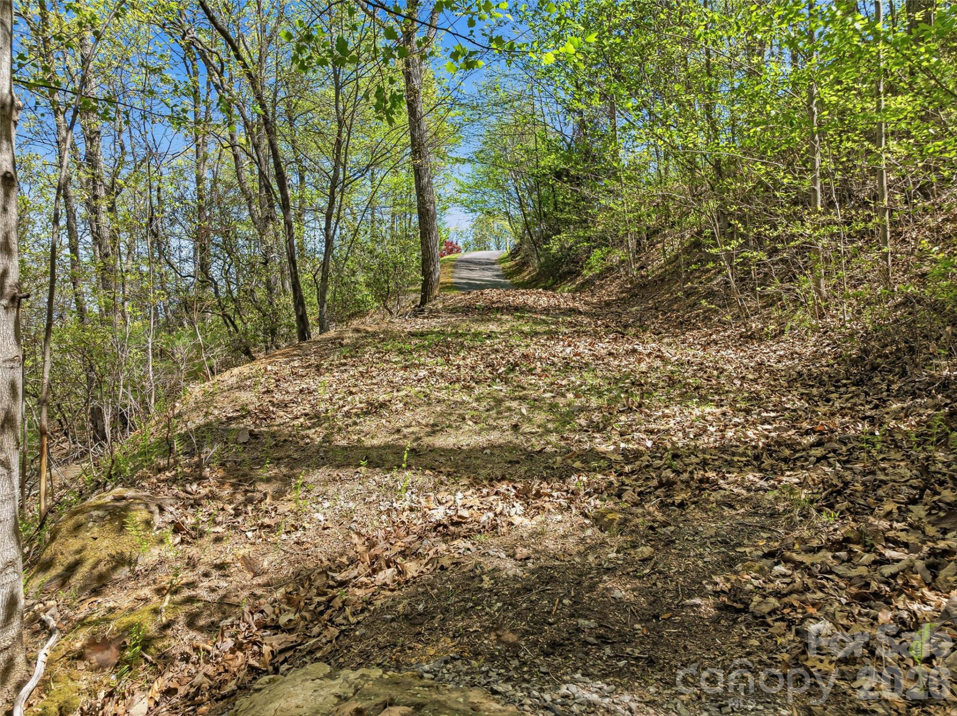 27 Deer Grass Court - Photo 13