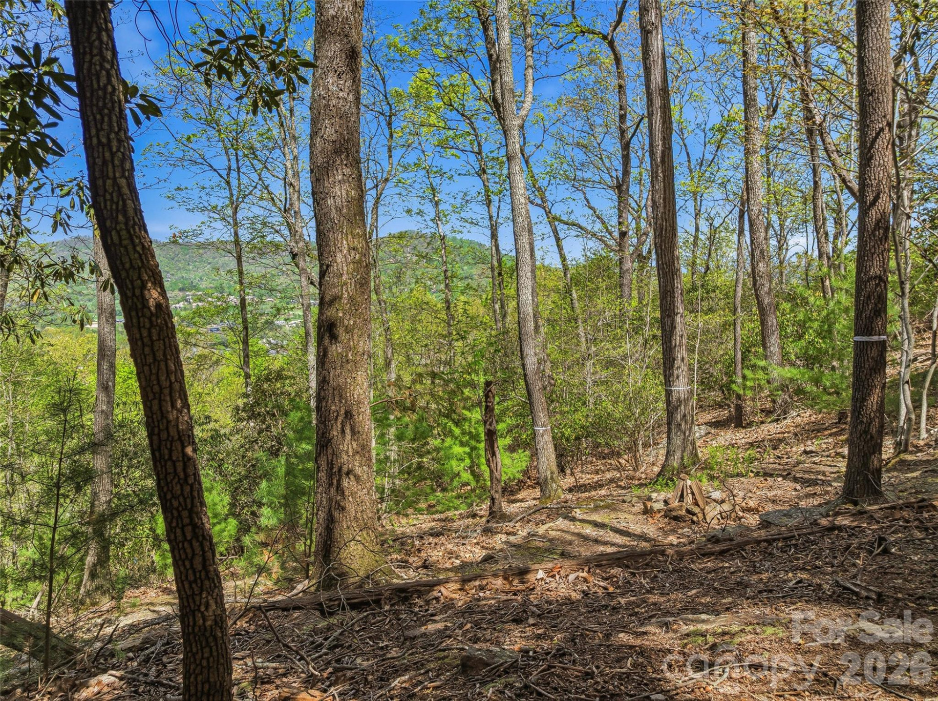 27 Deer Grass Court - Photo 18