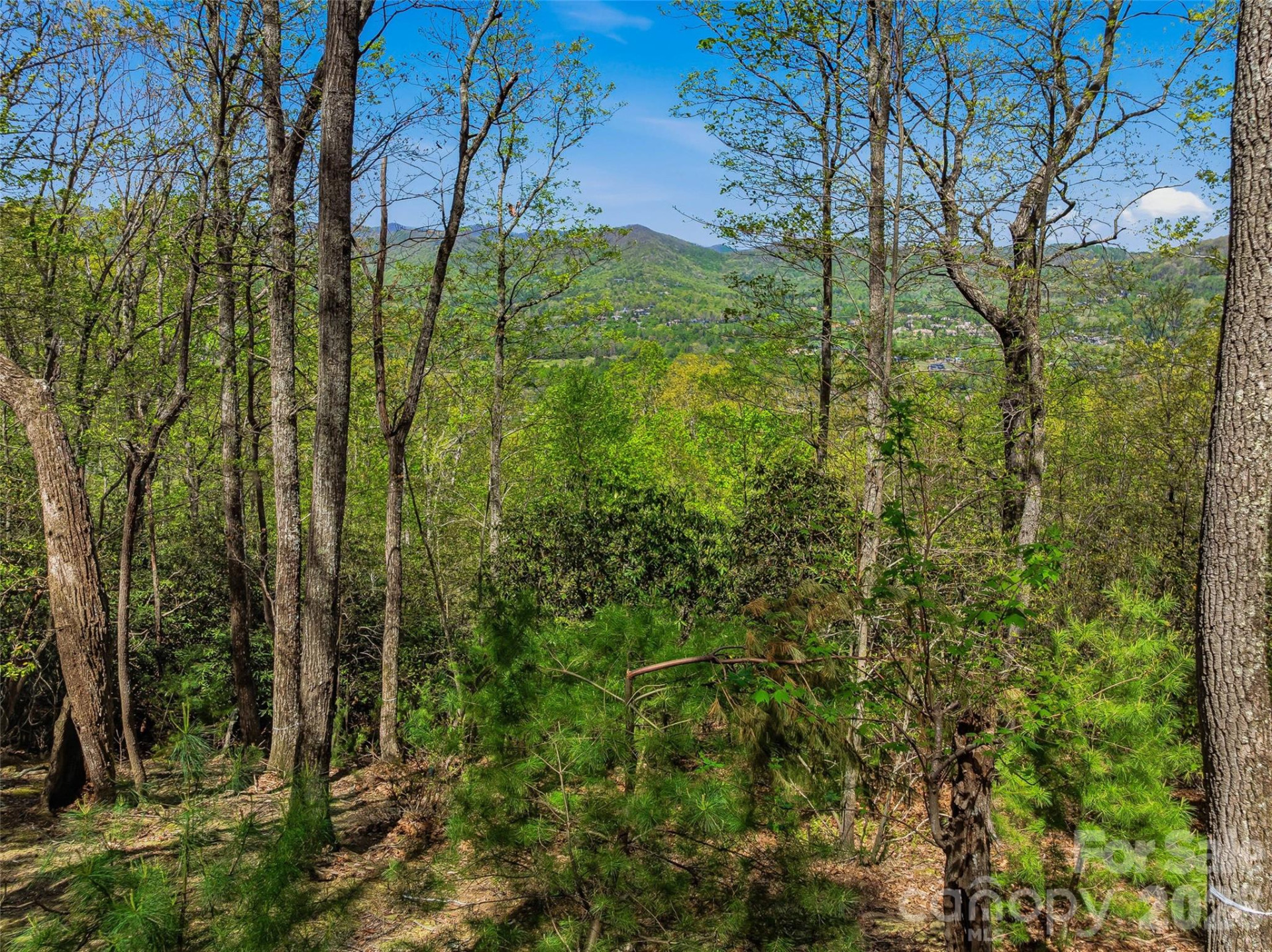 27 Deer Grass Court - Photo 20