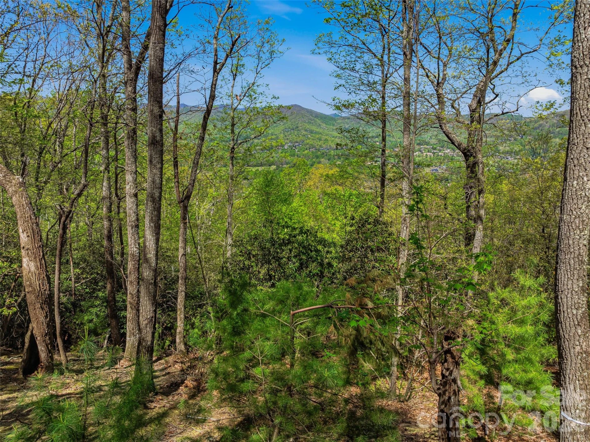 27 Deer Grass Court - Photo 20