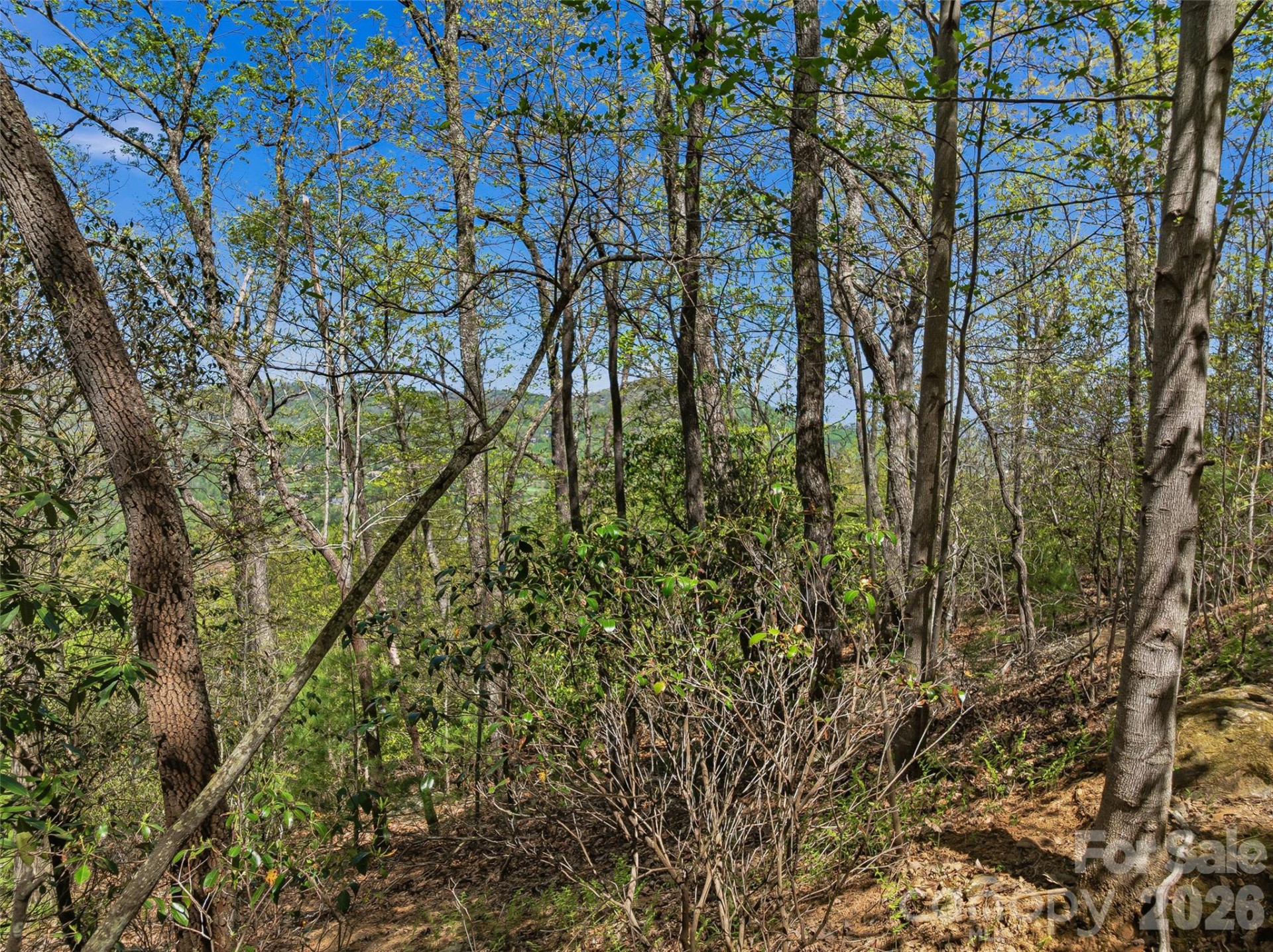 27 Deer Grass Court - Photo 21