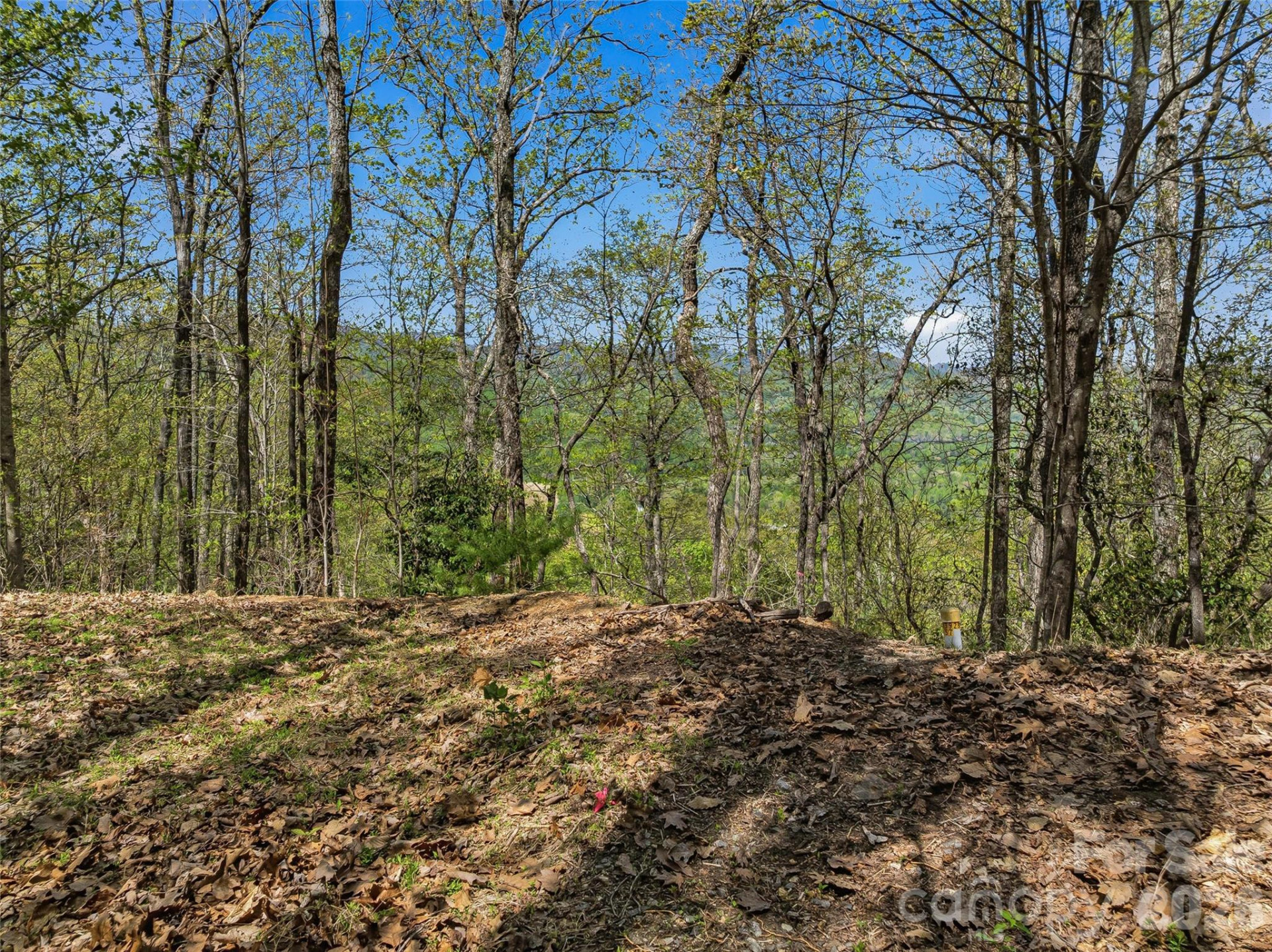27 Deer Grass Court - Photo 24
