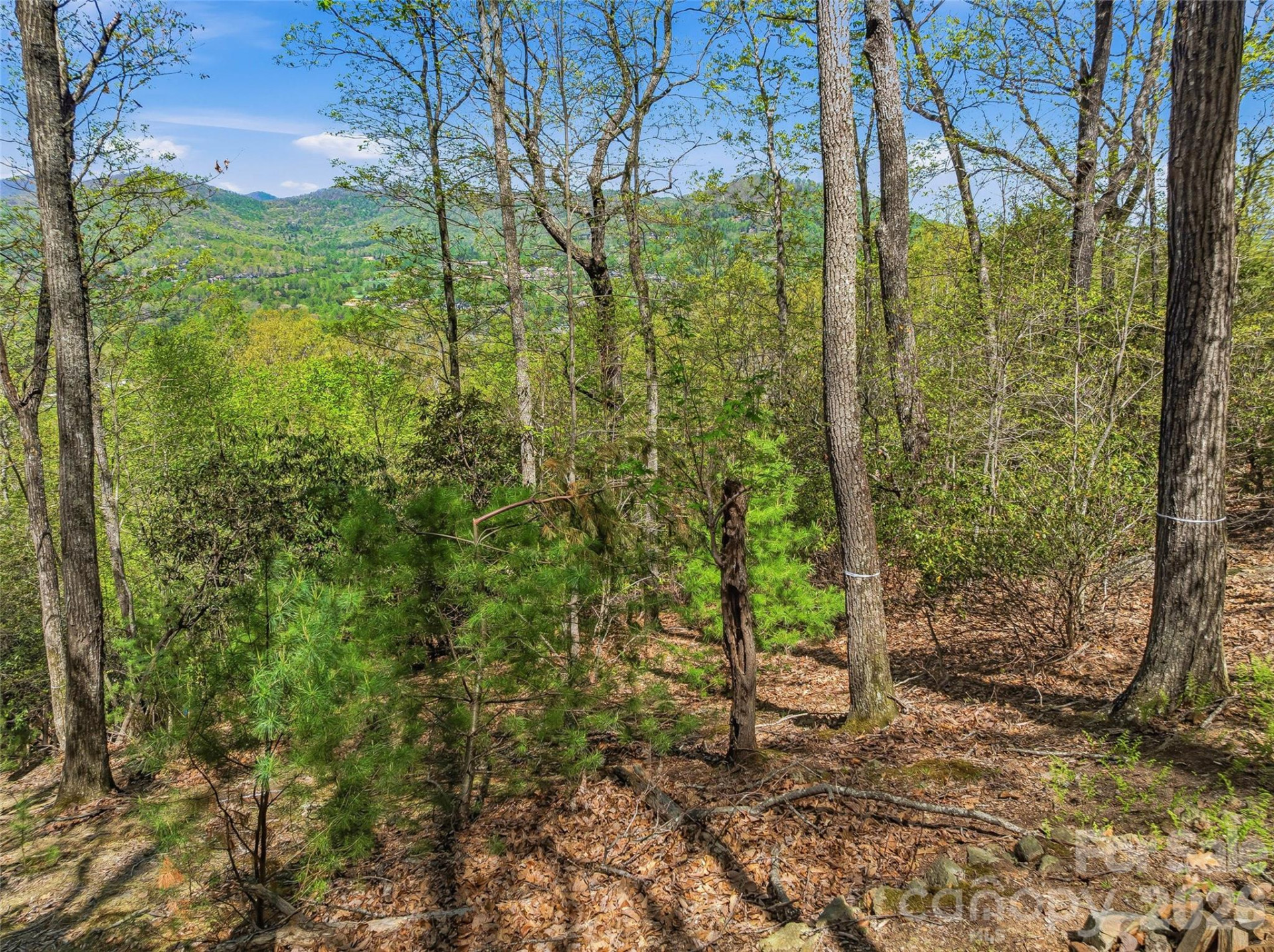 27 Deer Grass Court - Photo 25