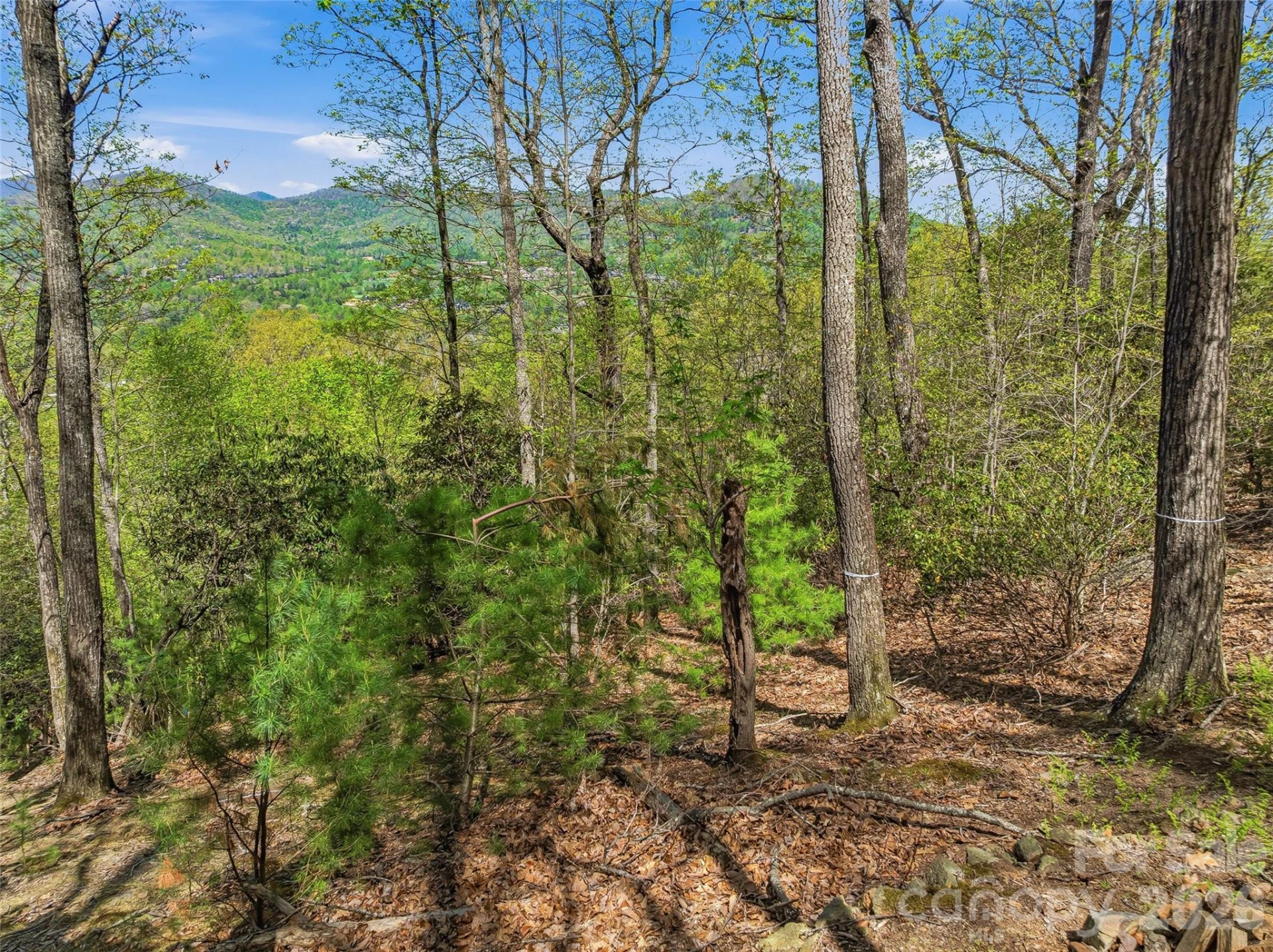 27 Deer Grass Court - Photo 25