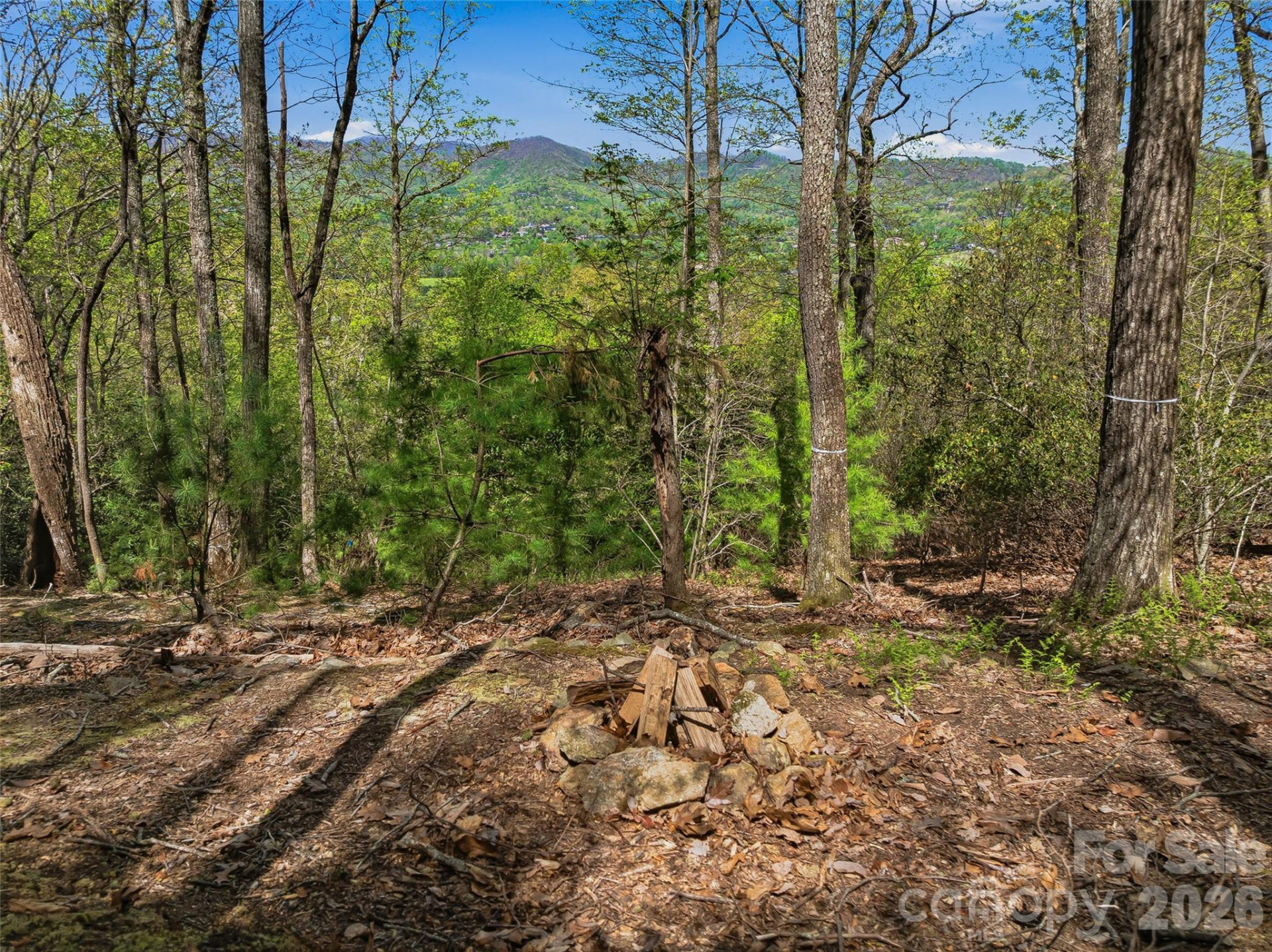 27 Deer Grass Court - Photo 5