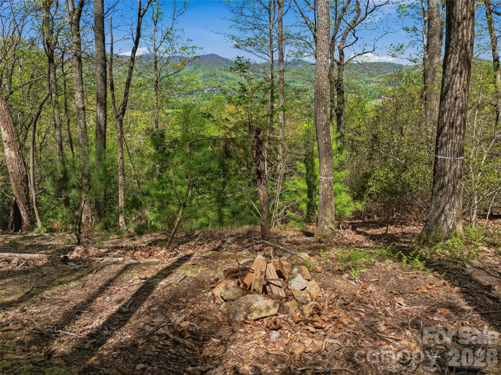 27 Deer Grass Court - Photo 5