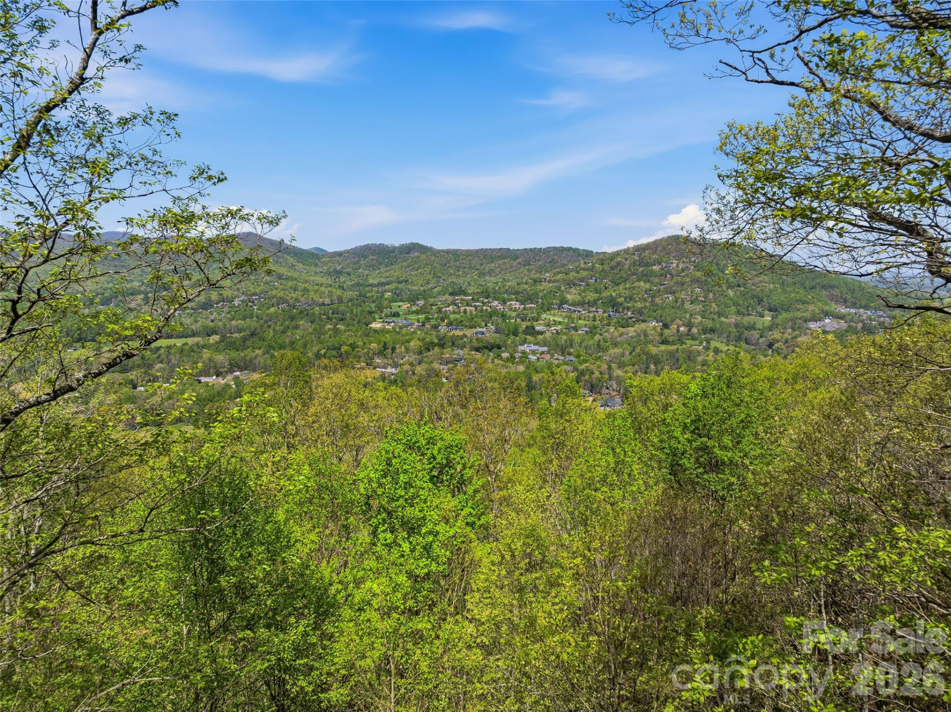 27 Deer Grass Court - Photo 6
