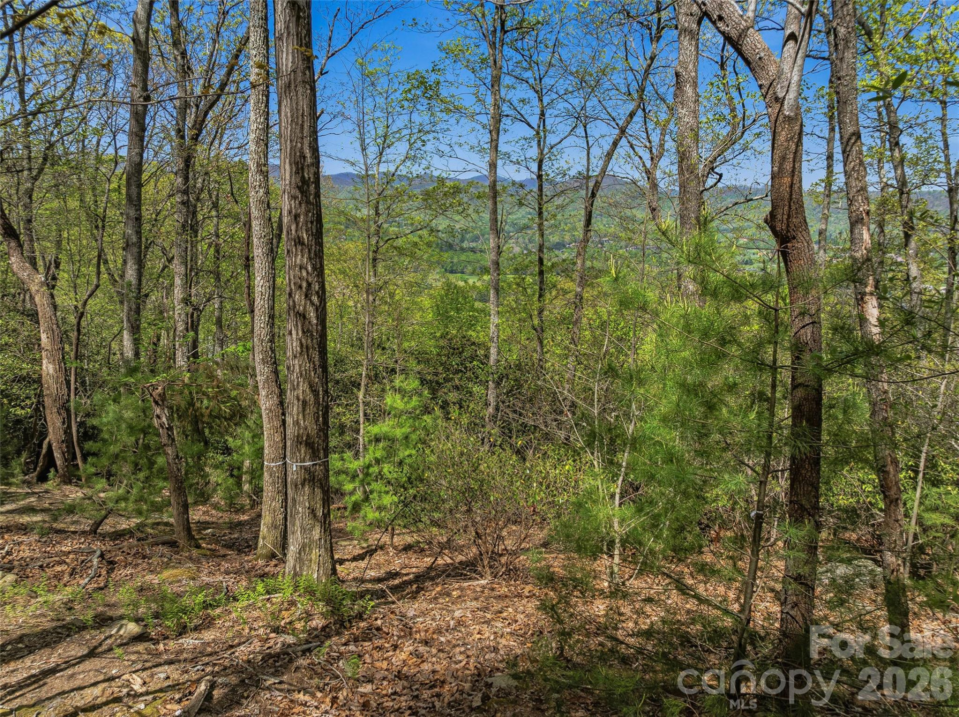 27 Deer Grass Court - Photo 8