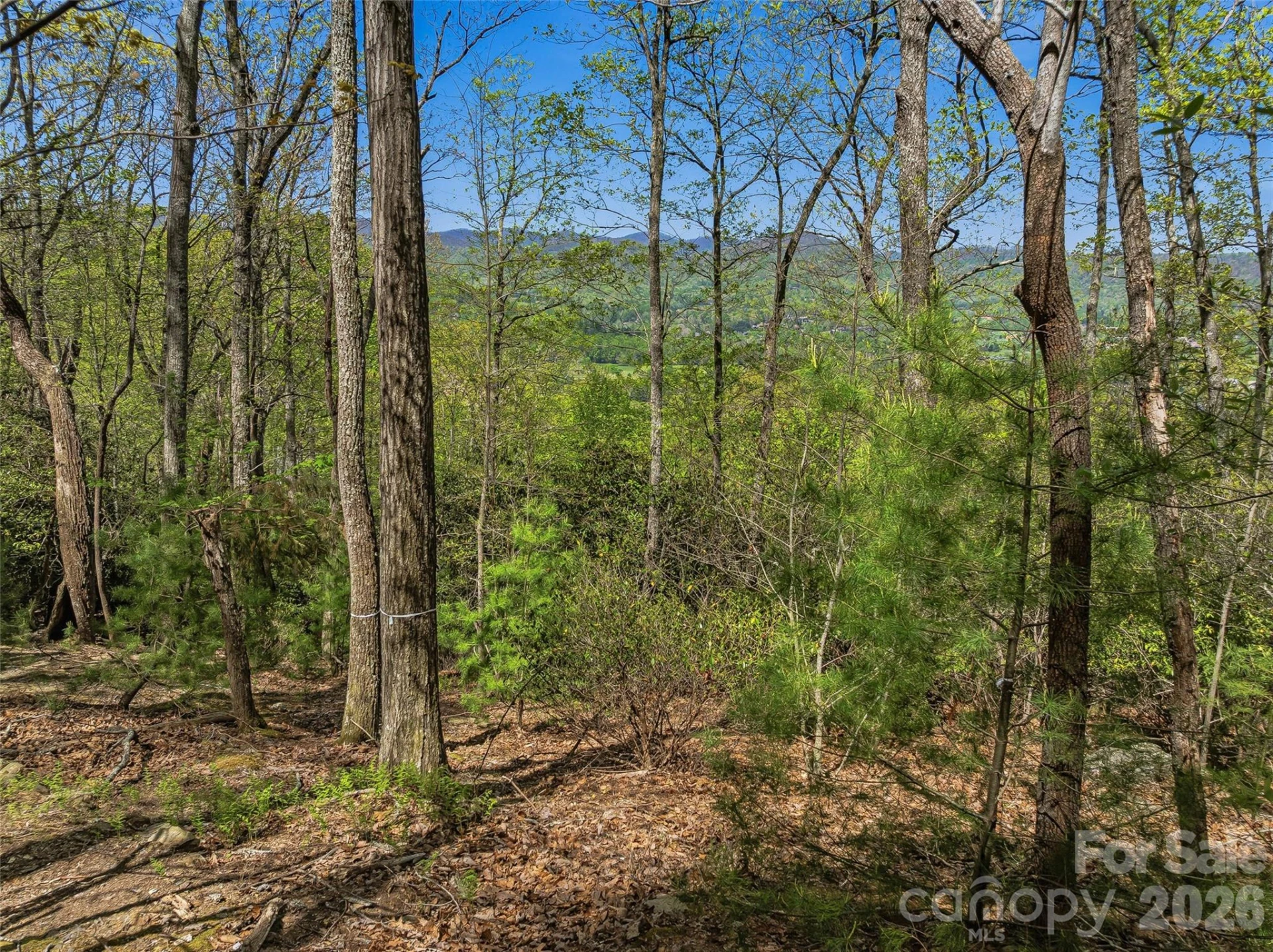 27 Deer Grass Court - Photo 8