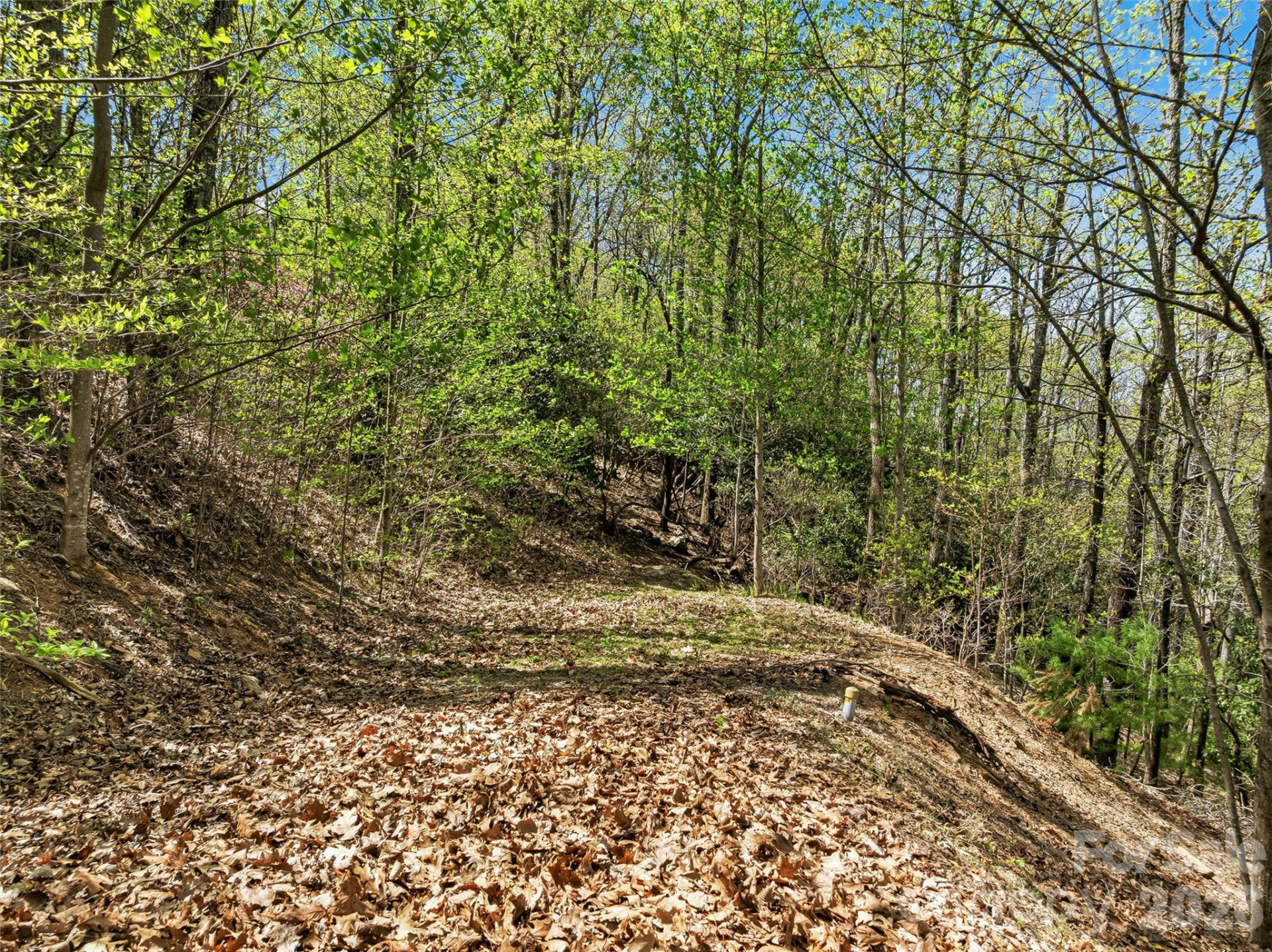 27 Deer Grass Court - Photo 9